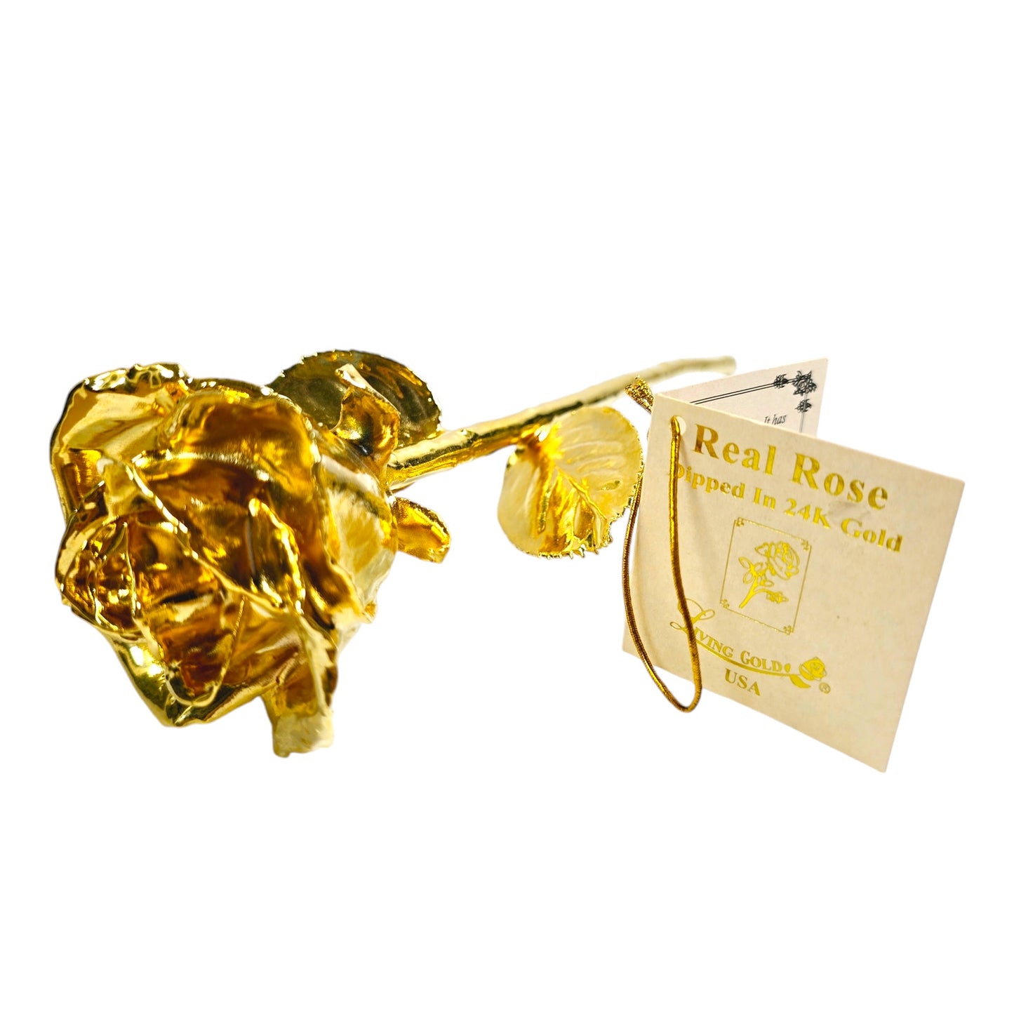 Real Rose Dipped in 24K Gold by Living Gold USA, Gold Rose