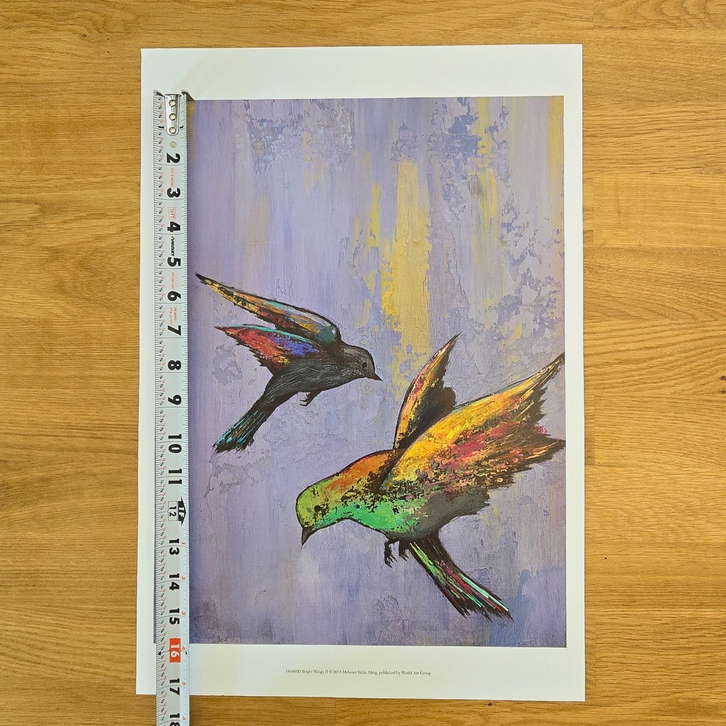 Two 16x12 Bird Art Prints: Bright Wings I & II 2015, Mehmet Sahin Altug