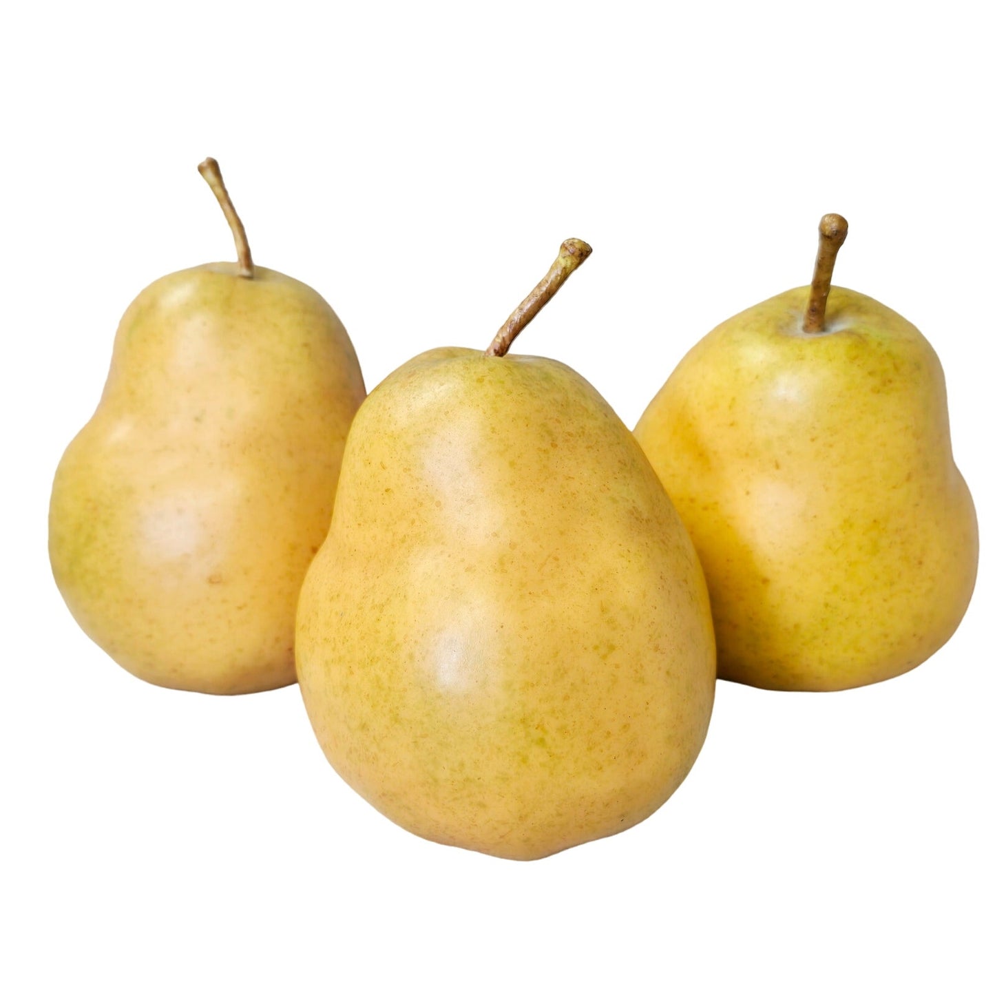 Set of 3 Bosc Heavy Realistic Faux Staging Pears