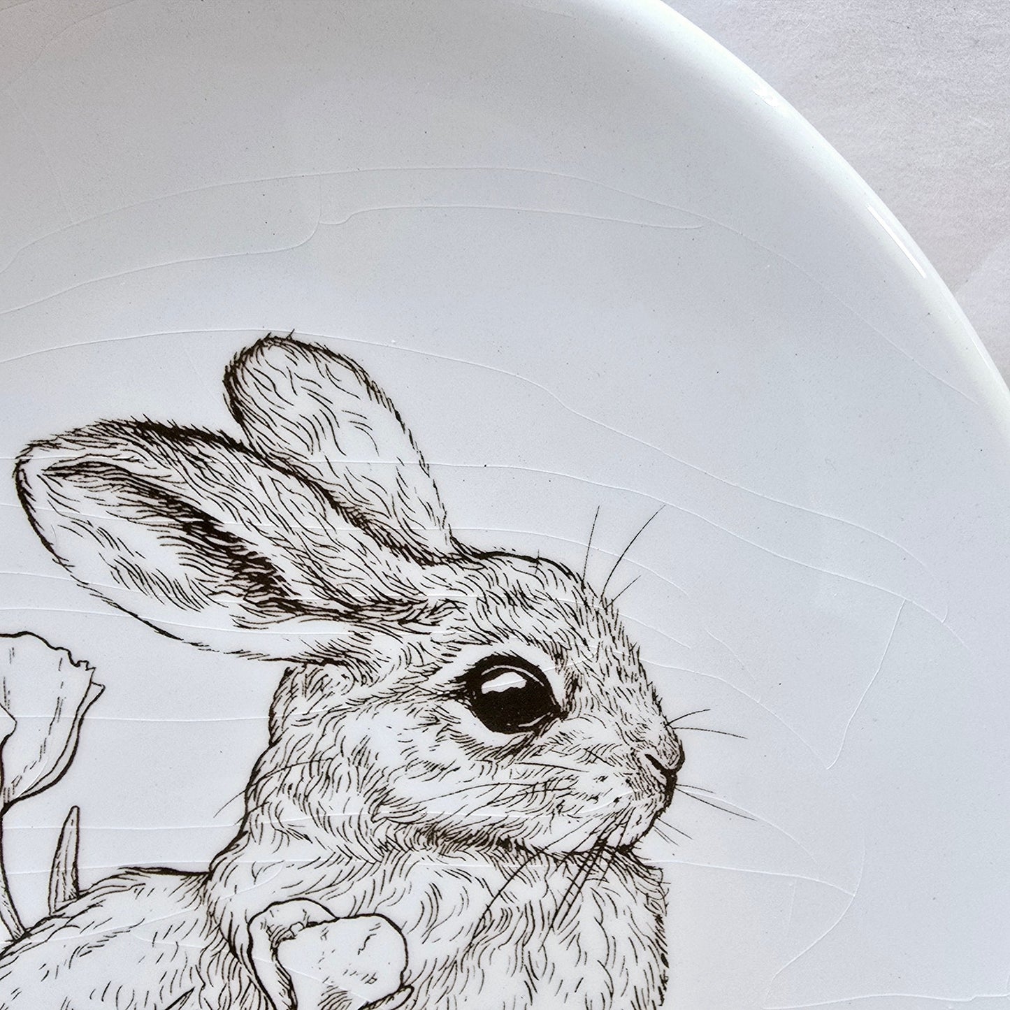 Set of 2 Decorative Bunny Plates with Sketch Brown Bunny with Tulips by Burton & Burton CRAZED