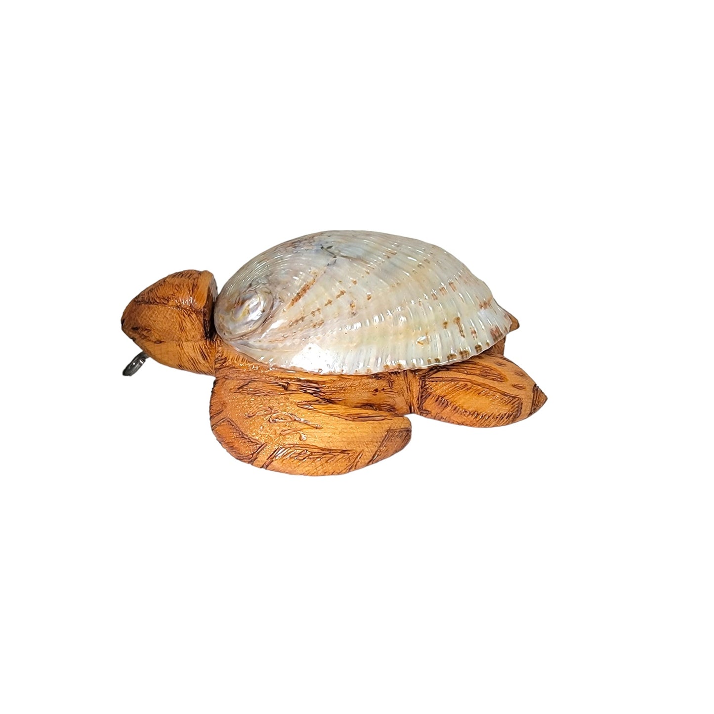 Abalone Shell and Carved Wood Turtle