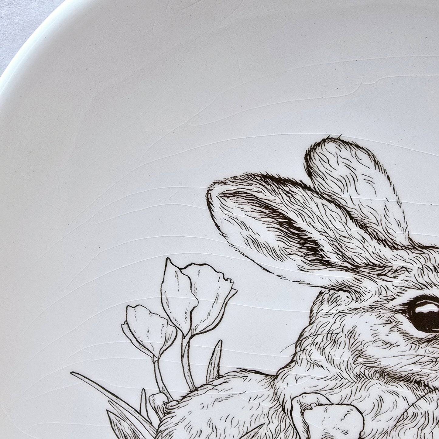 Set of 2 Decorative Bunny Plates with Sketch Brown Bunny with Tulips by Burton & Burton CRAZED