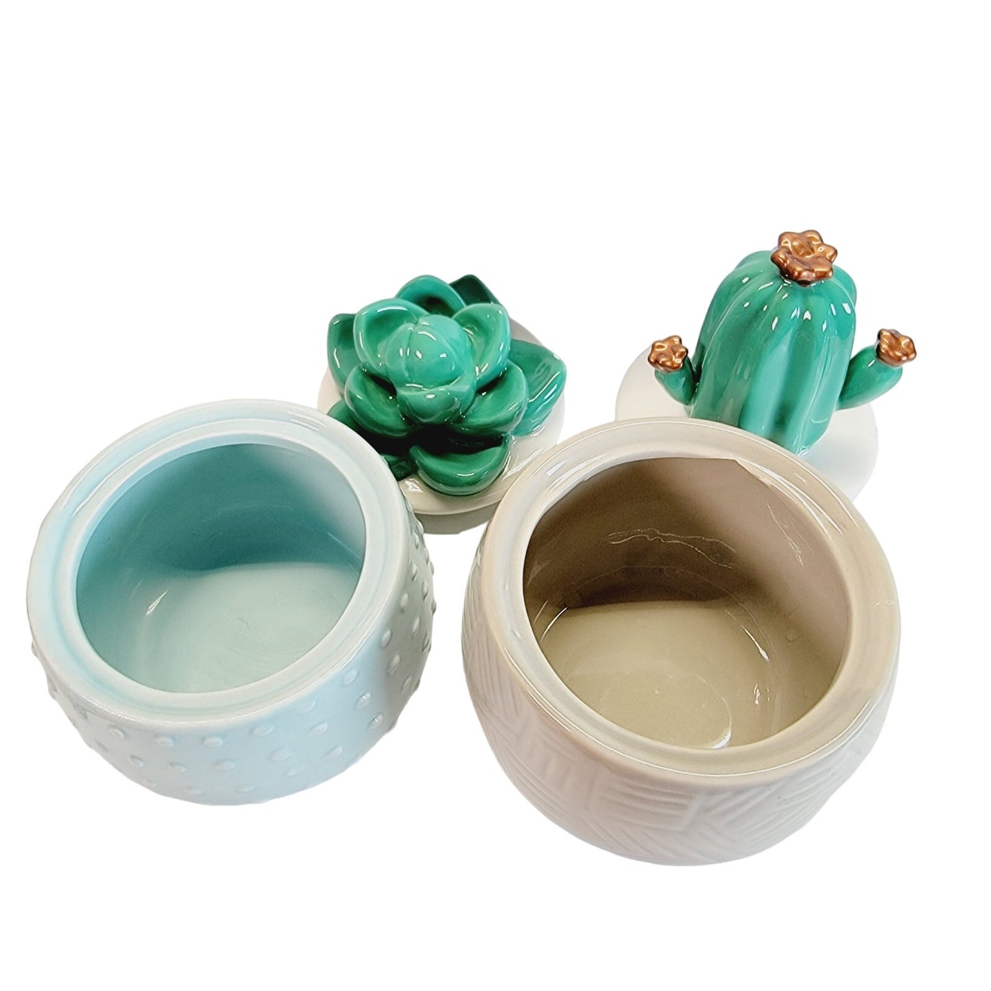 Set of 2 Cactus Trinket Boxes / Storage Box, IQ Accessories