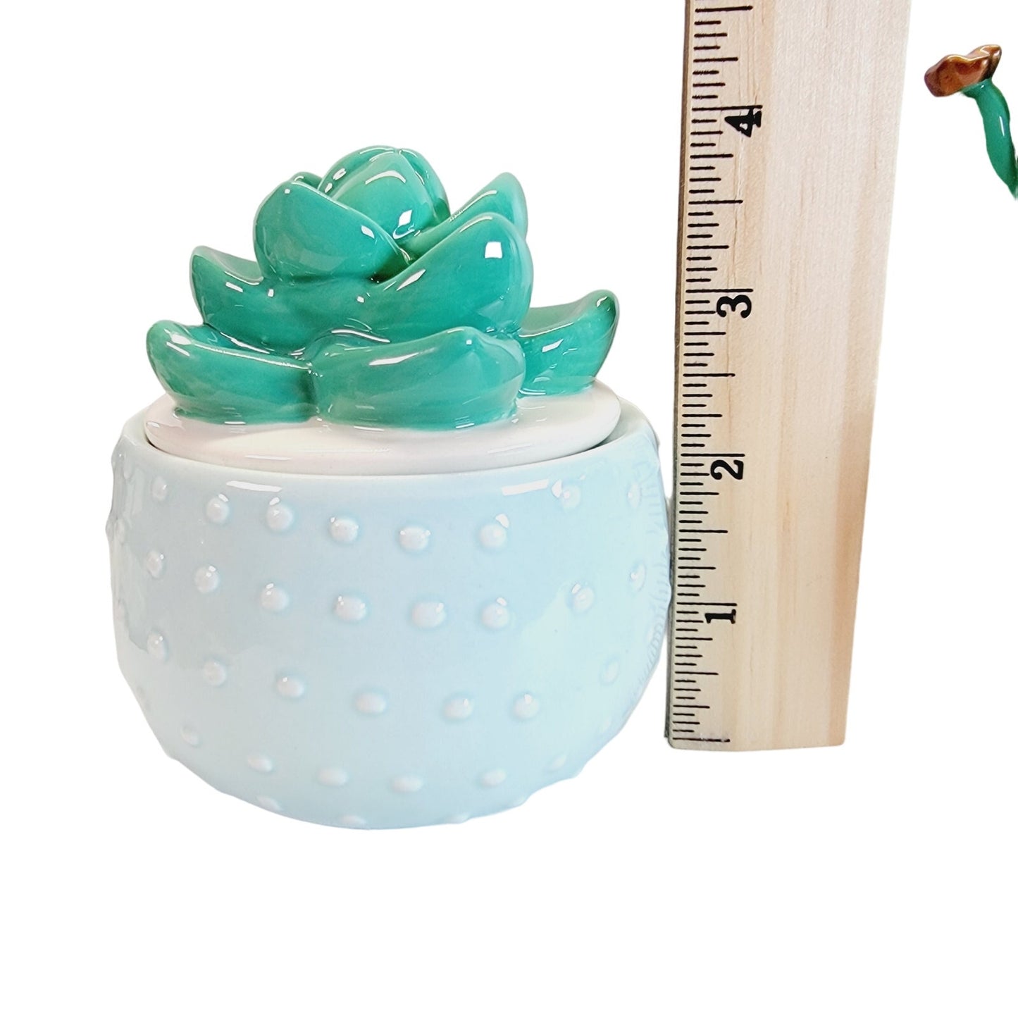 Set of 2 Cactus Trinket Boxes / Storage Box, IQ Accessories