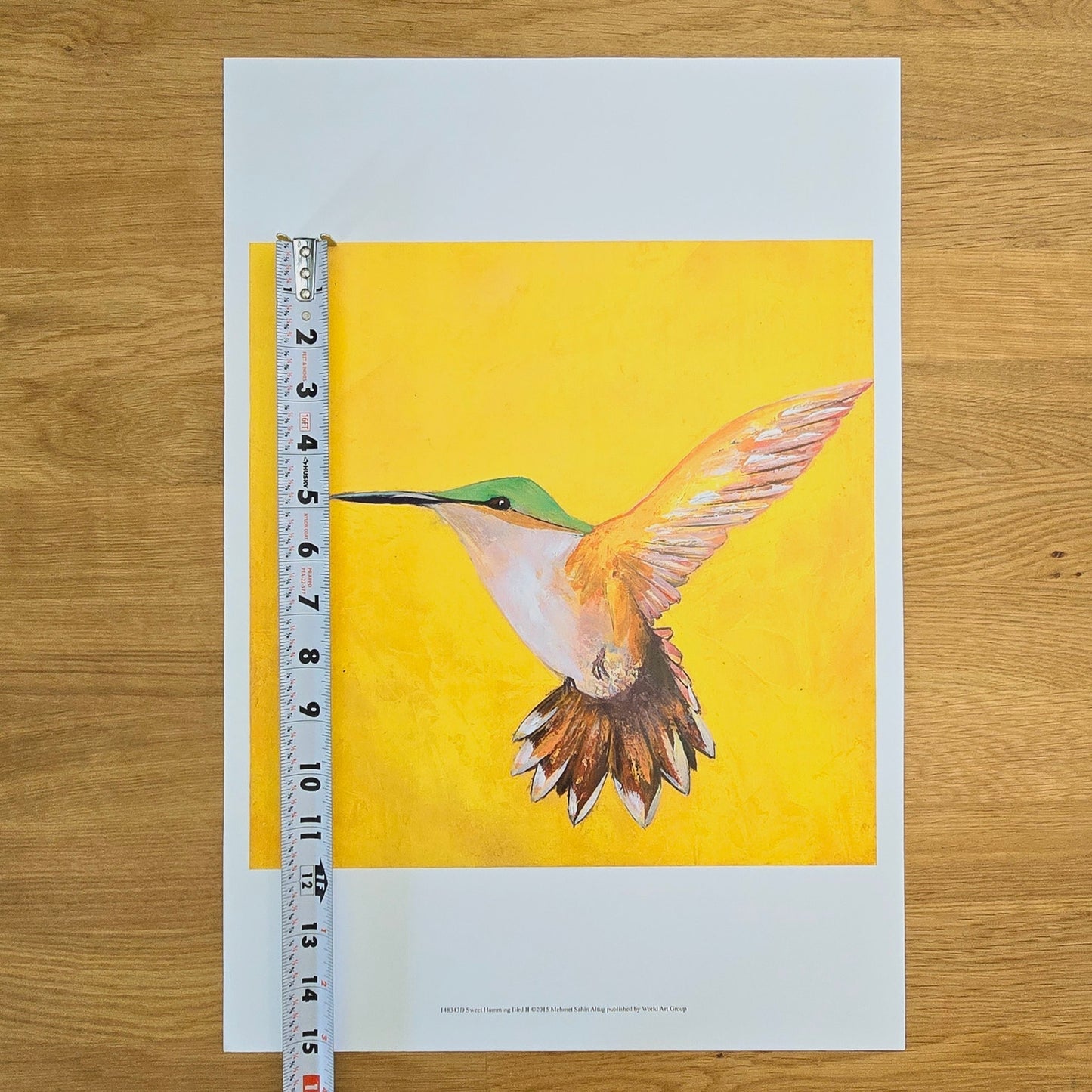 Art Print: Sweet Humming Bird II, 2015, 12x12 print on 13x19 stock