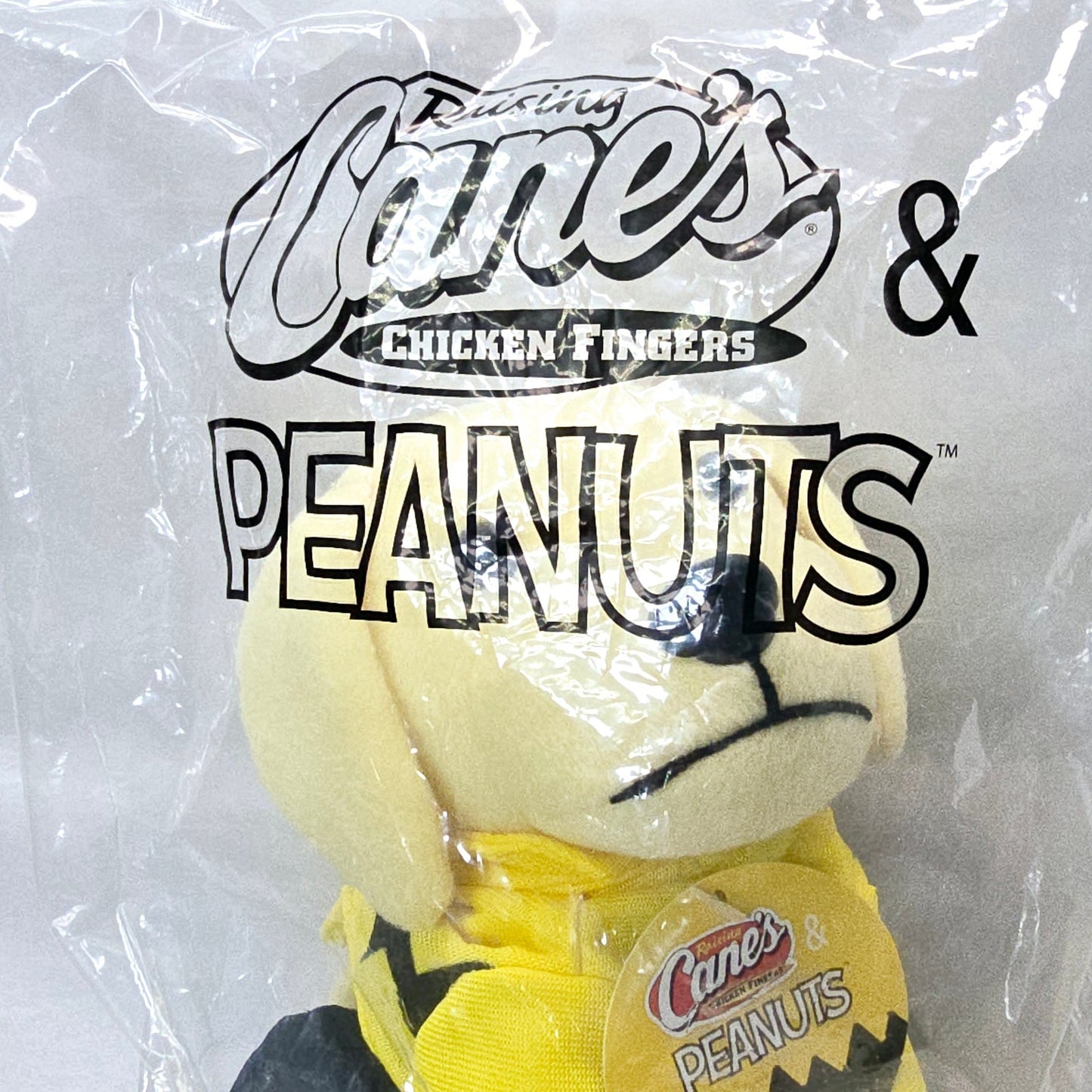 Raising Canes Charlie Brown Peanuts Dog 2021 Plush Puppy New in Package