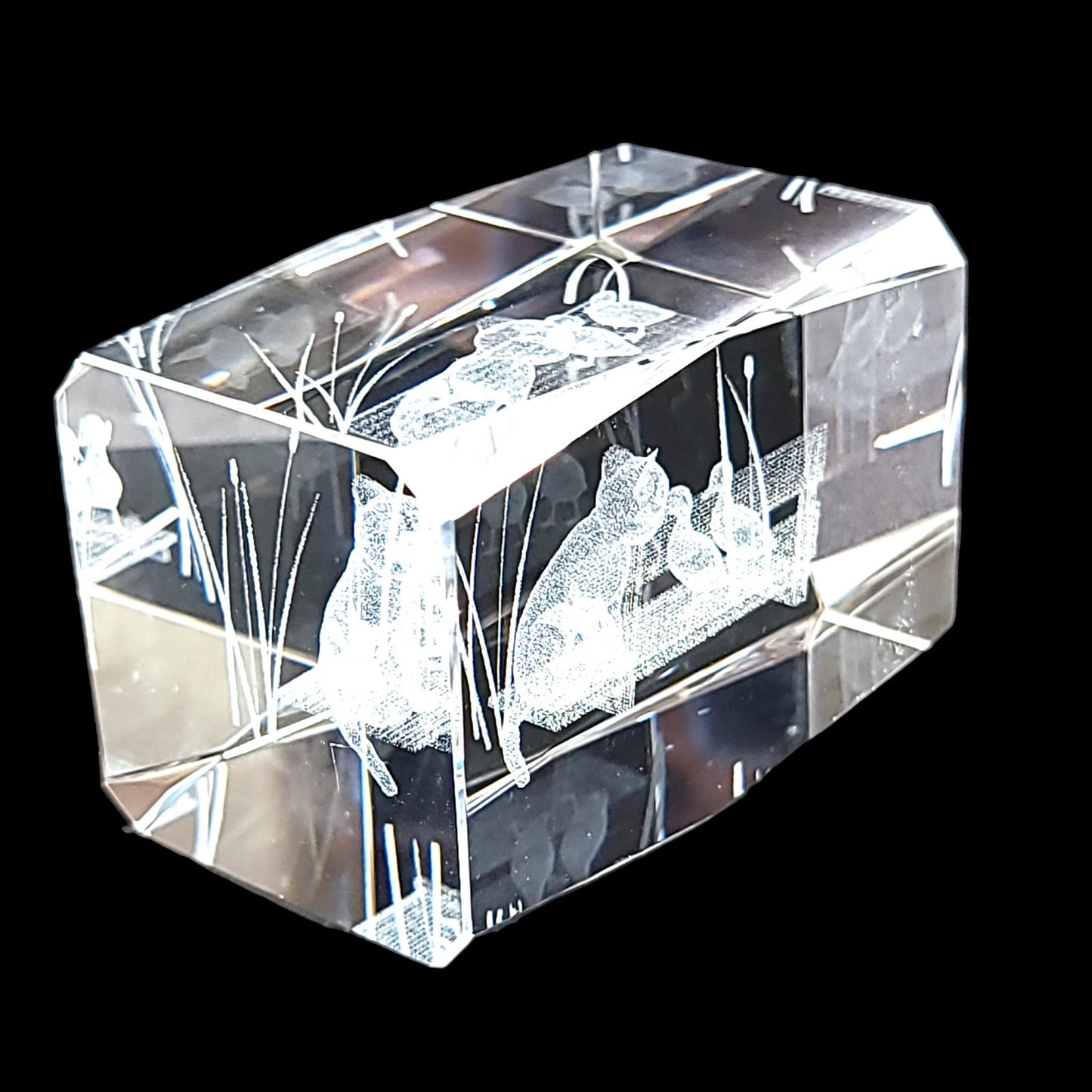 3D Laser Etched Cat on Bench with Ducks Crystal Paperweight in Box 3 x 2 x 2" Original Box