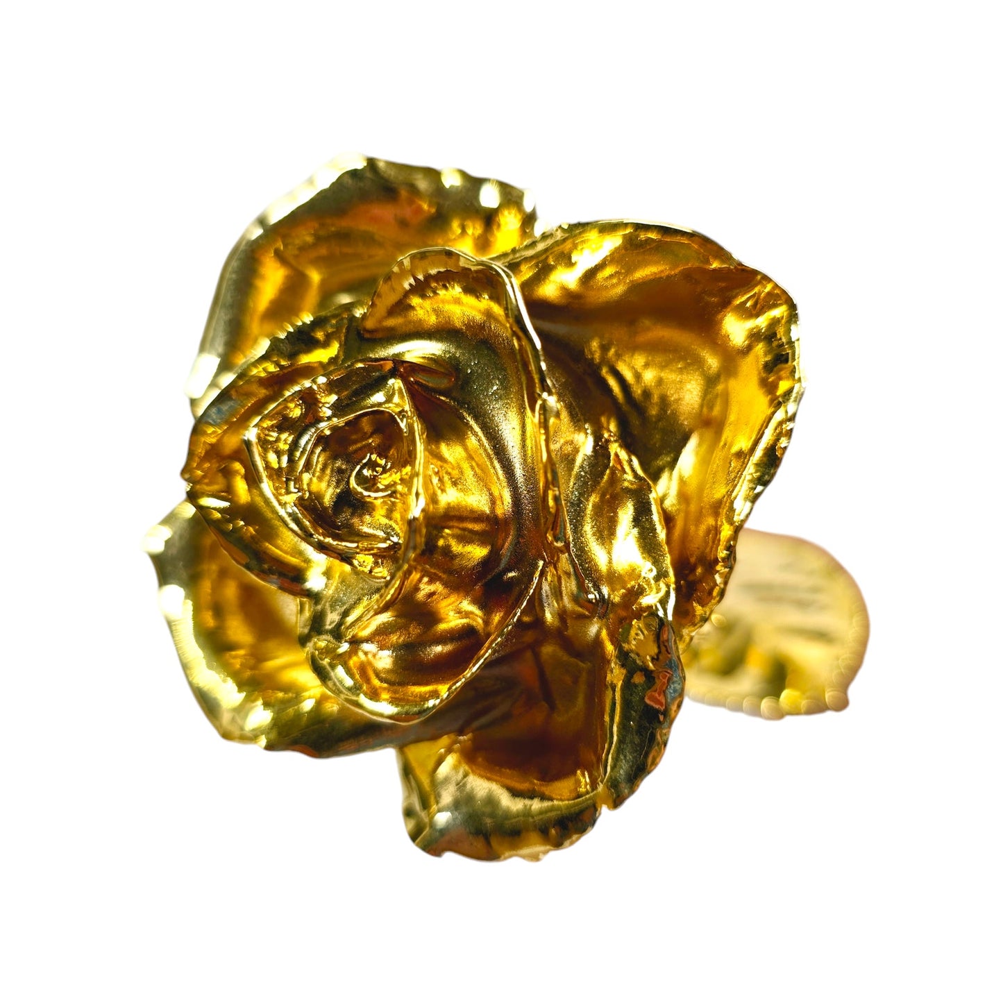 Real Rose Dipped in 24K Gold by Living Gold USA, Gold Rose