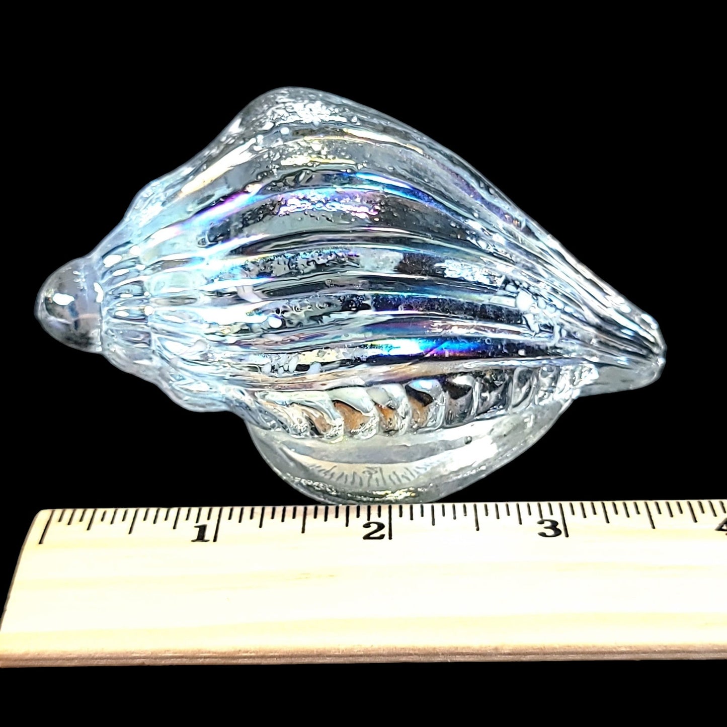 Hand Blown Iridescent Art Glass Sea Shell, Glass Conch Shell