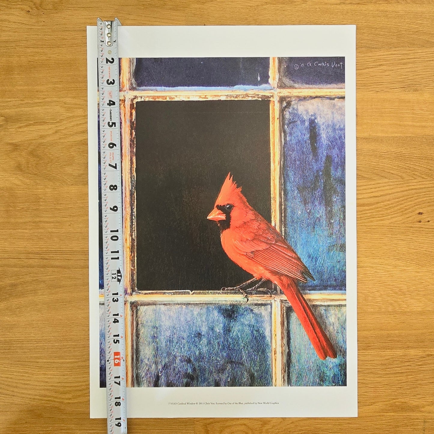 16x12 Red Bird Art Print: Cardinal Window, 2011 Chris Vest, New World Graphics