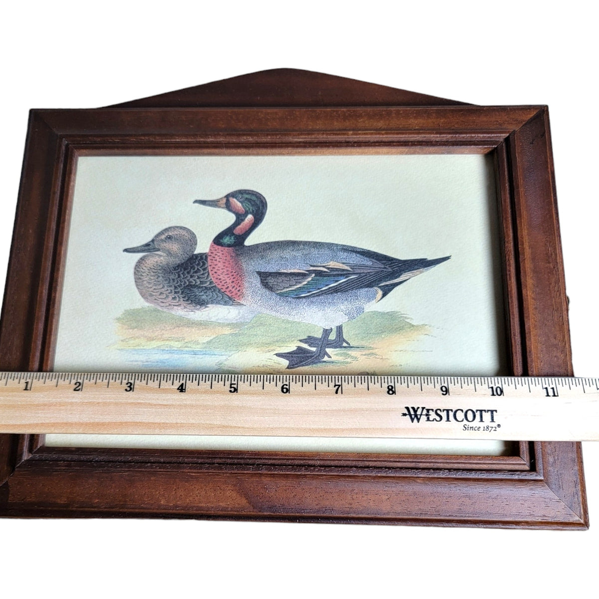 Italian Wood Handcrafted Bimaculated Duck Wall Mount Key Cabinet