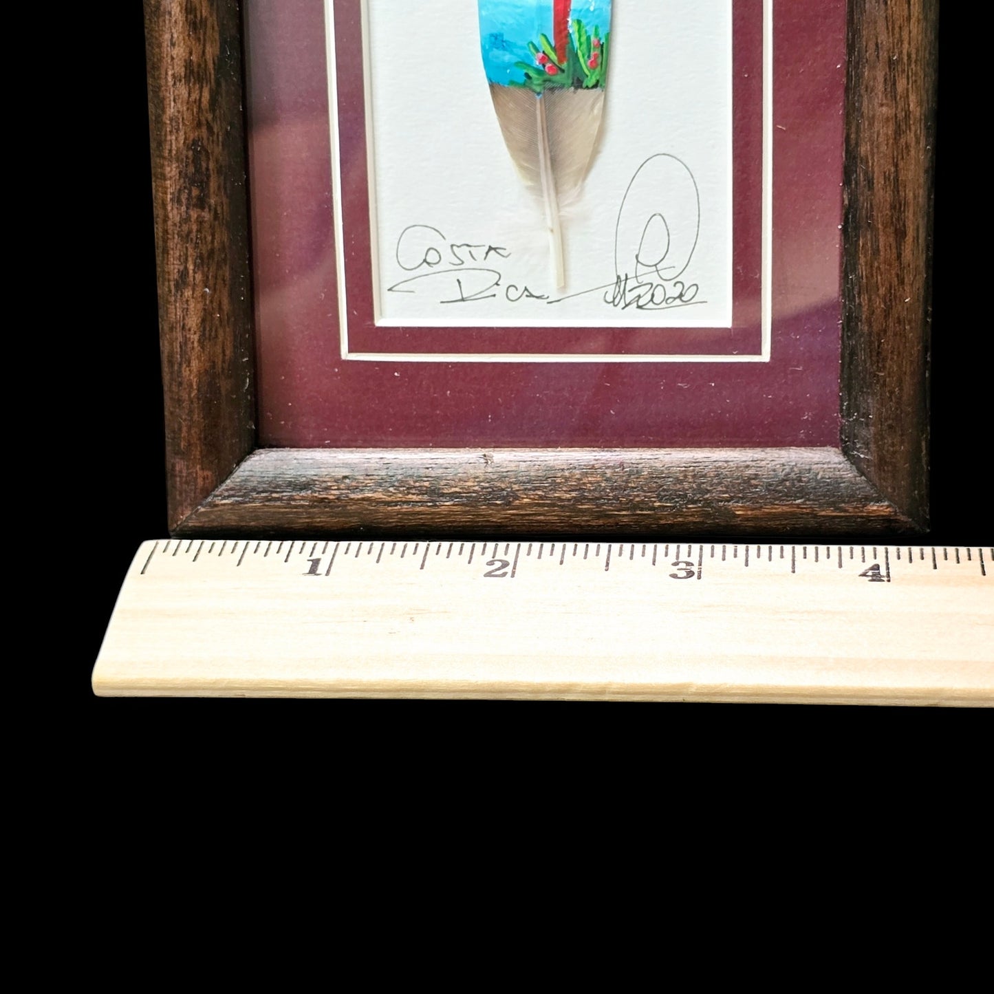 Original Parrot Painting on Feather Costa Rica Artist Signed Framed