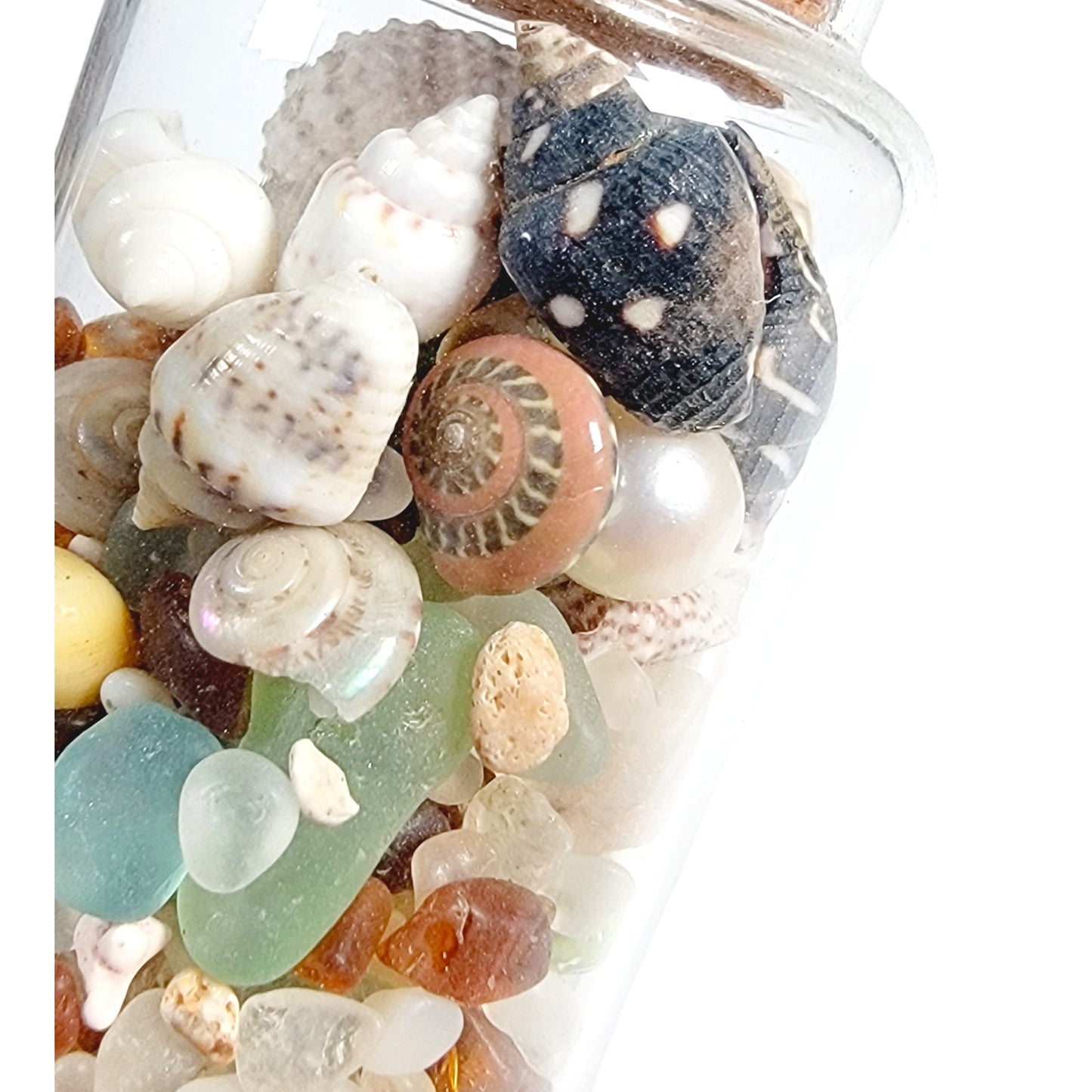 Tiny Shells and Sea Glass in Tiny Jar, Made in California