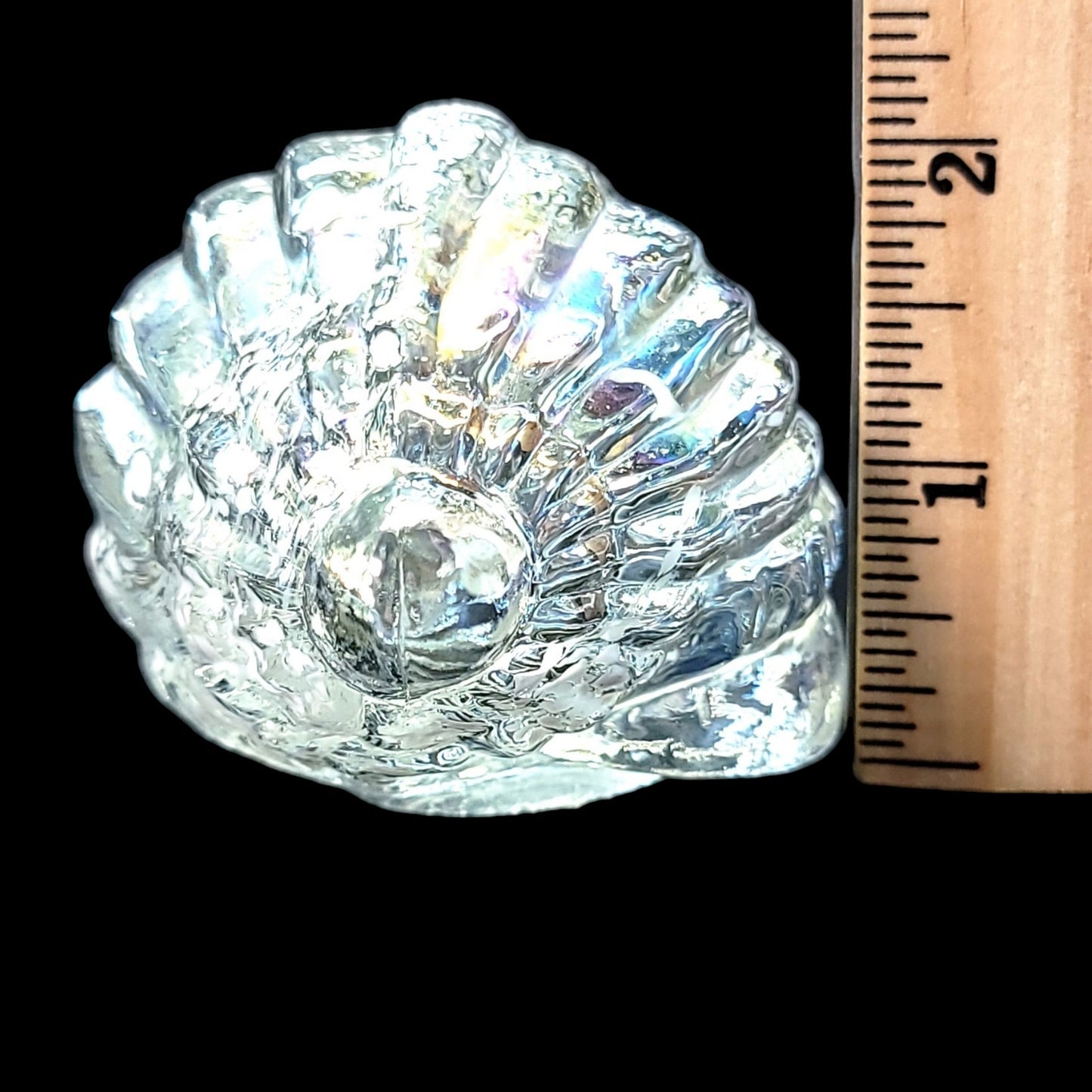 Hand Blown Iridescent Art Glass Sea Shell, Glass Conch Shell