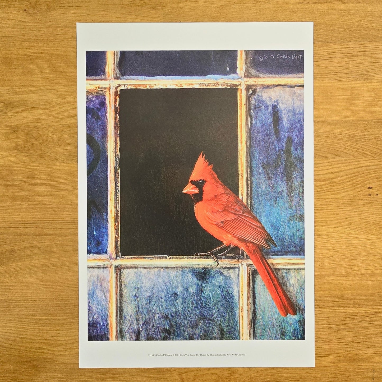 16x12 Red Bird Art Print: Cardinal Window, 2011 Chris Vest, New World Graphics