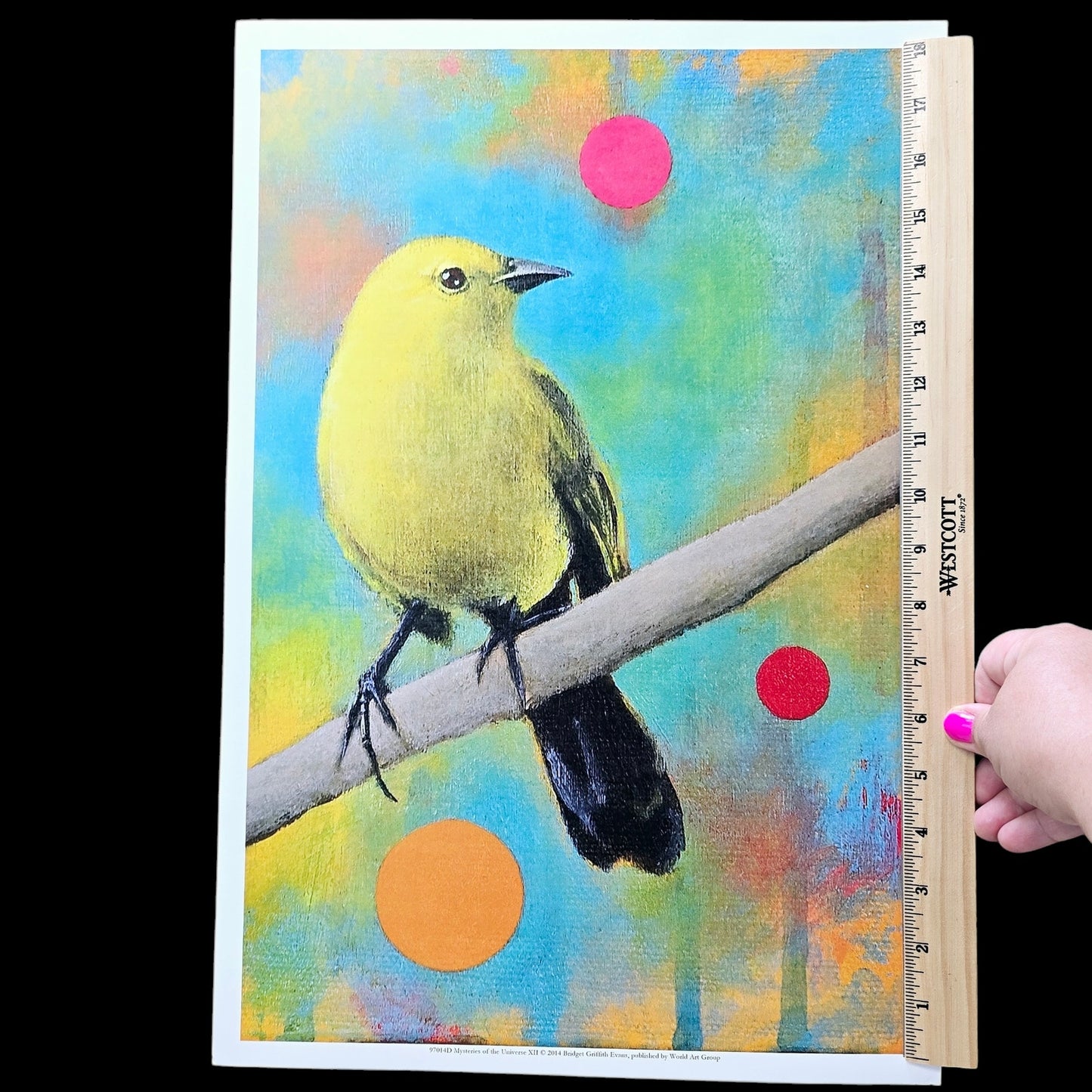 18 x12 Bird Art Print Mysteries of the Universe XII 2014 Bridget Griffith Evans