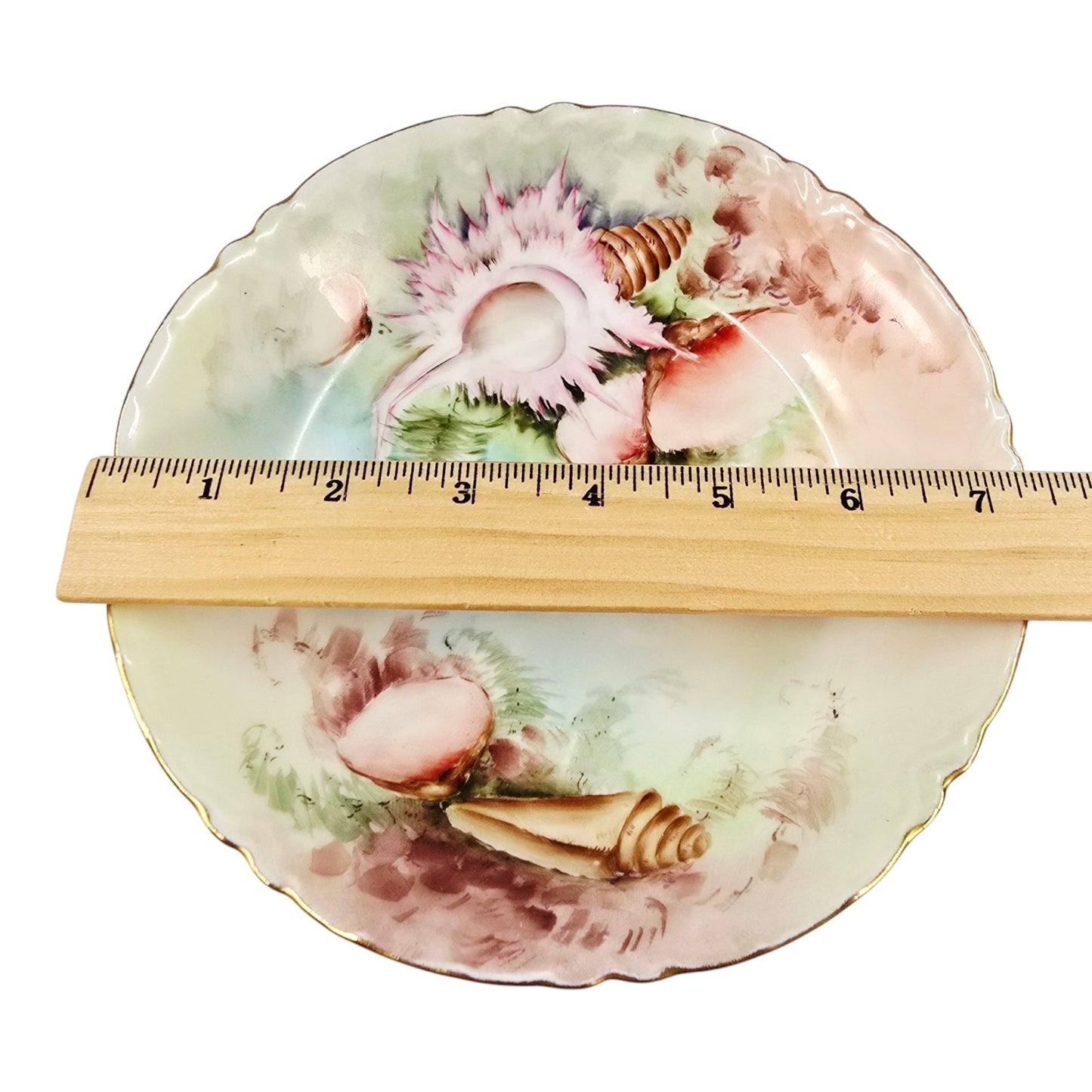 Antique Haviland France Limoges Hand Painted Seashell Plate