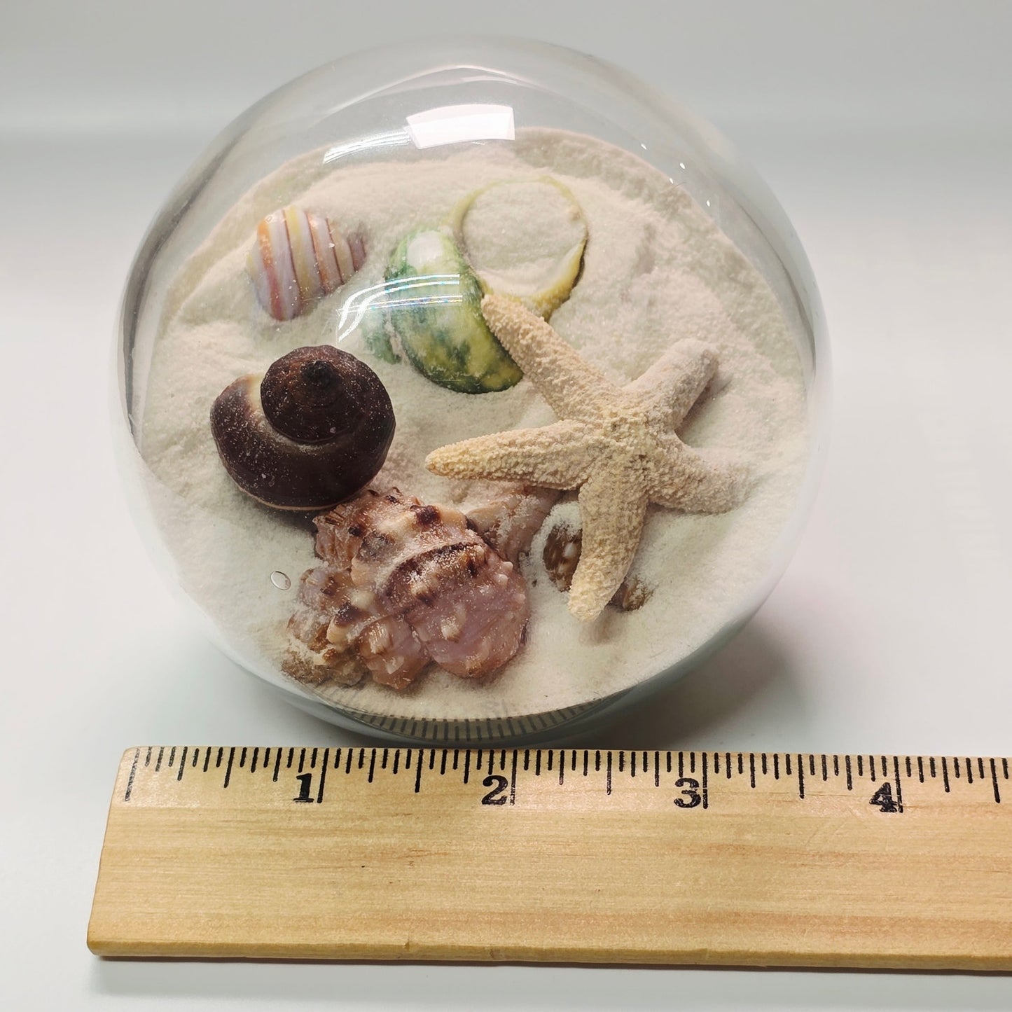Sand and Shells Sandglobe Paperweight
