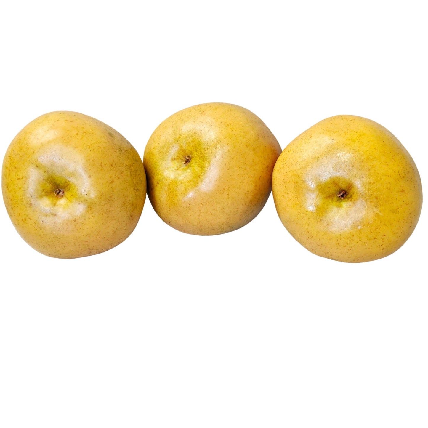 Set of 3 Bosc Heavy Realistic Faux Staging Pears