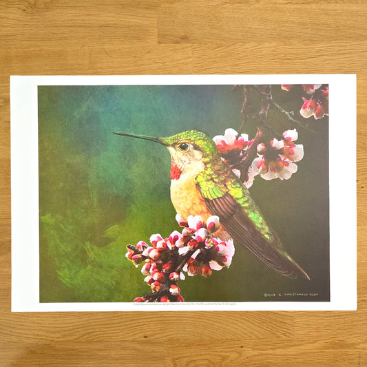 16x12 Bird Art Print: Hummer with Blossoms, 2013 Chris Vest, New World Graphics