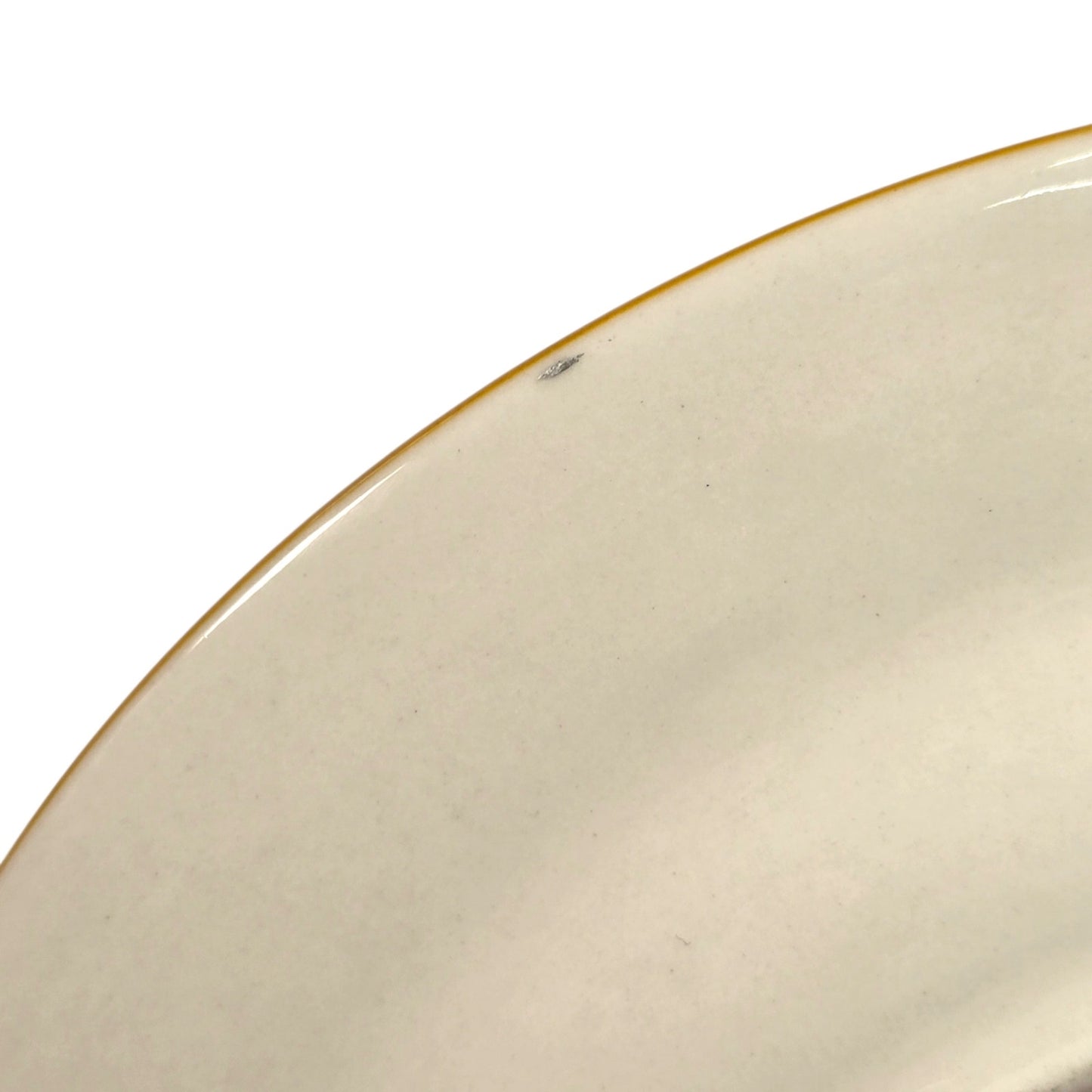 Anthropologie Emily Isabella Dog Biography Plate Walter Catch All Gallery Wall