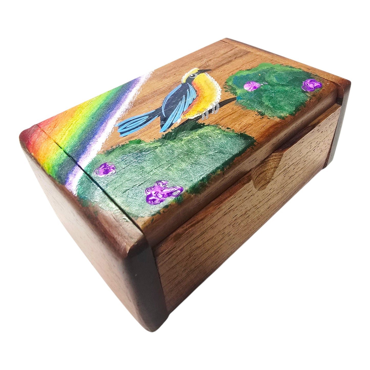 Wood Hand-painted Trinket Treasure Box Bird Tree Rainbow Made in Costa Rica Read