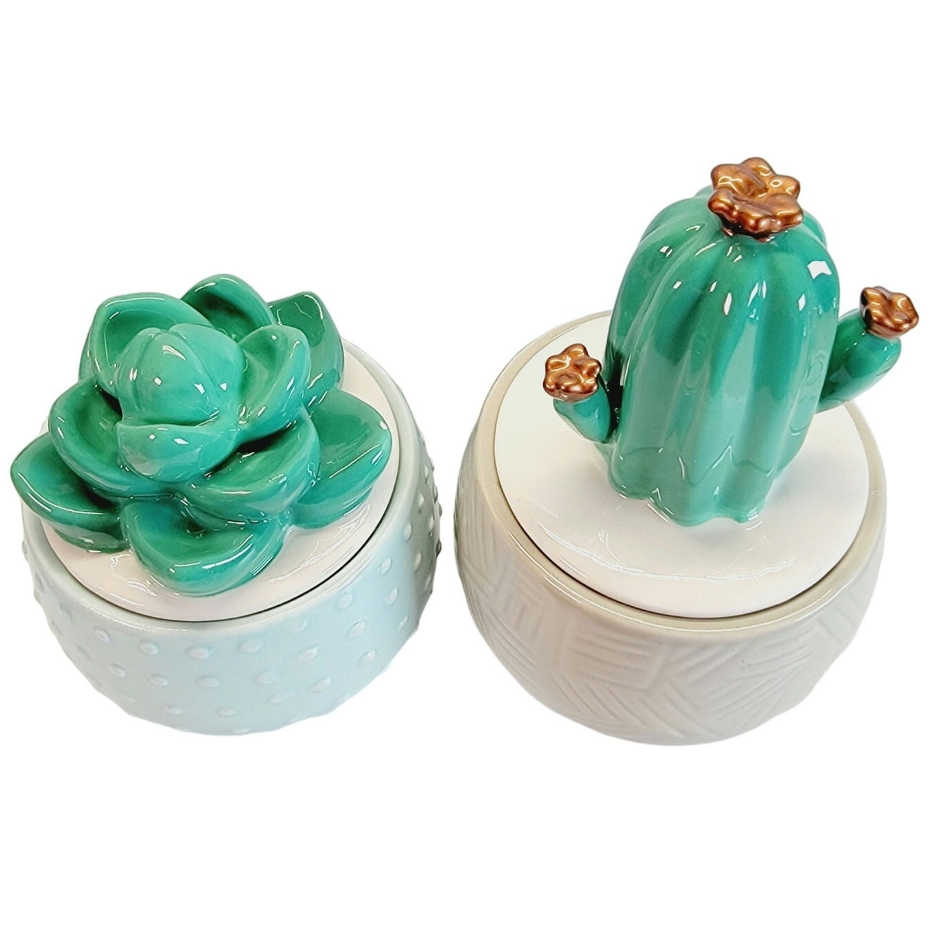 Set of 2 Cactus Trinket Boxes / Storage Box, IQ Accessories