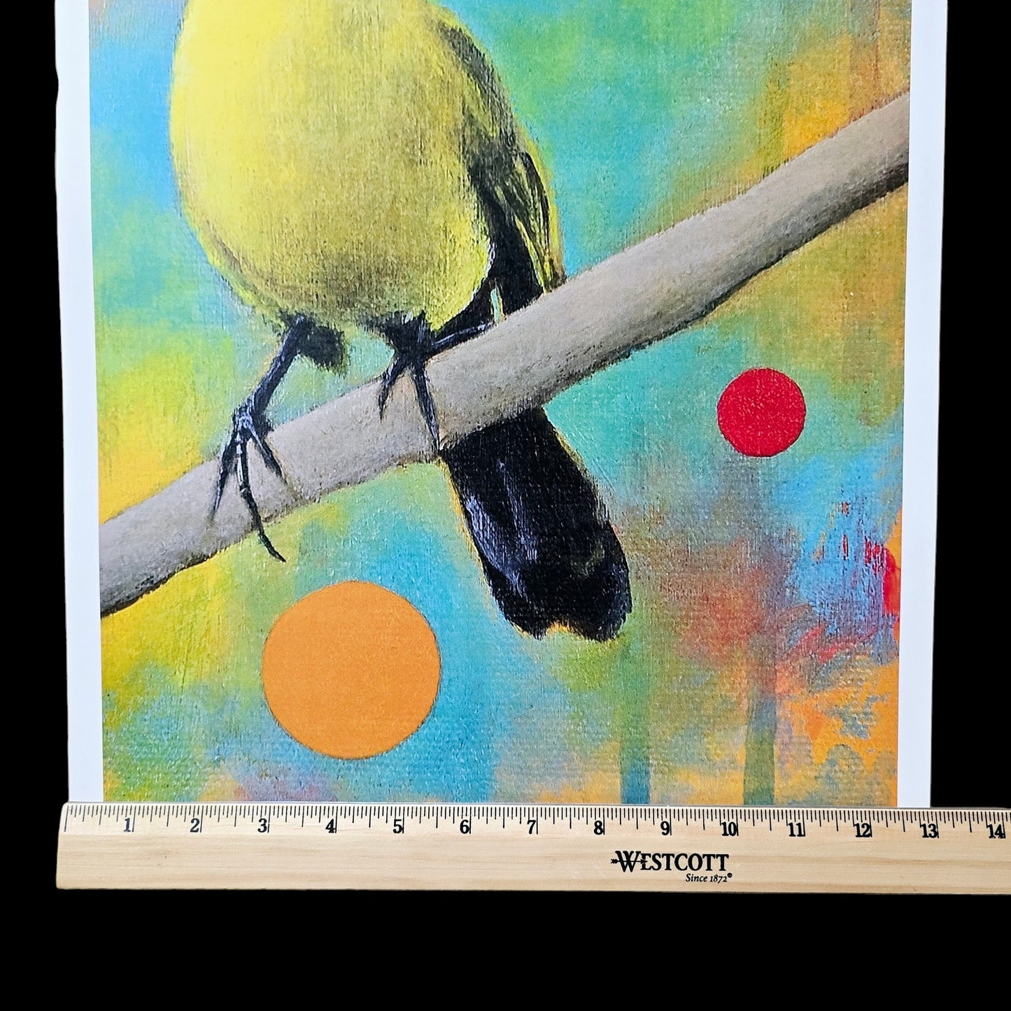 18 x12 Bird Art Print Mysteries of the Universe XII 2014 Bridget Griffith Evans