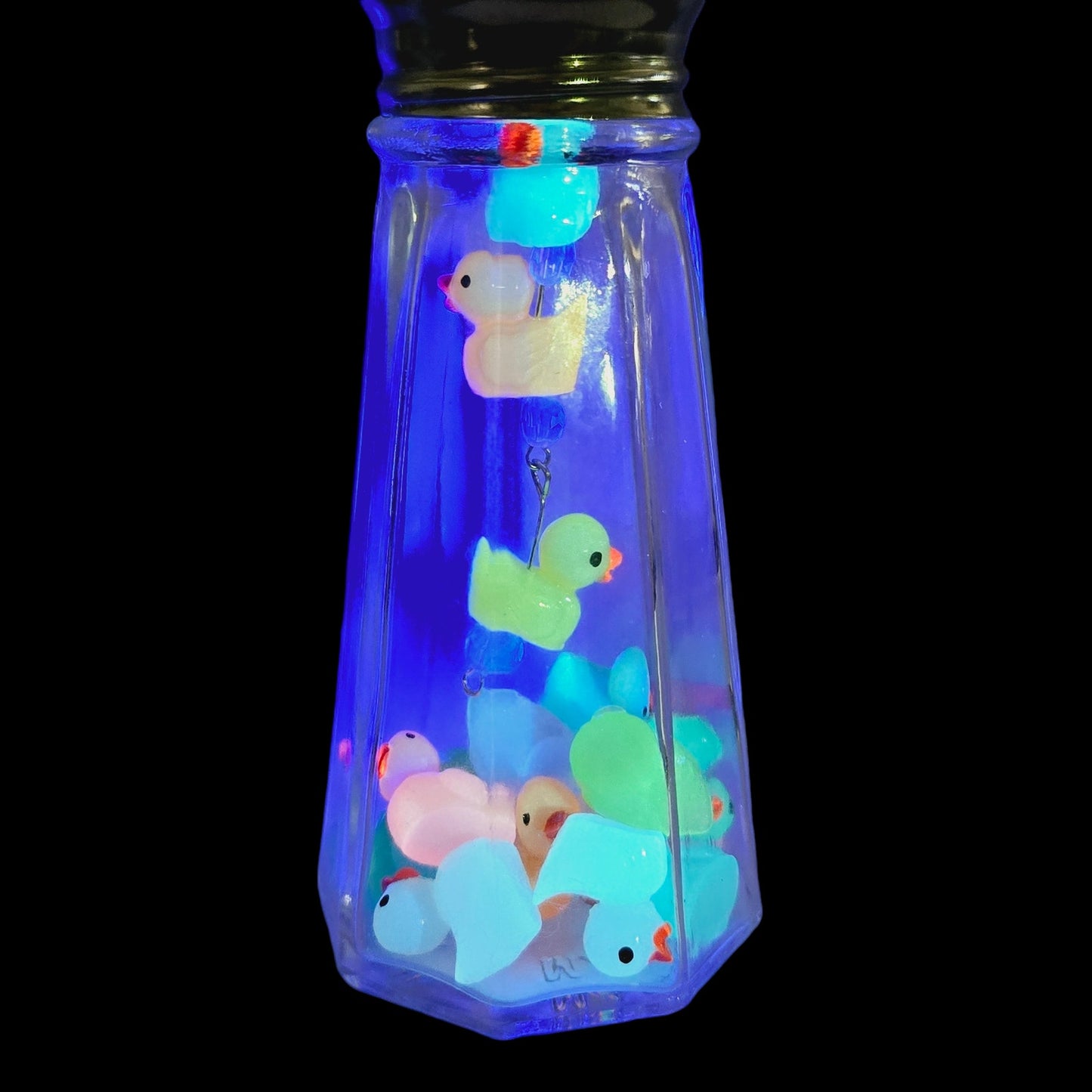 Glowy Ducks Salt Shaker Display Art Piece, Glowy Ducks in Glass Shaker Jar, 6" H with Pins