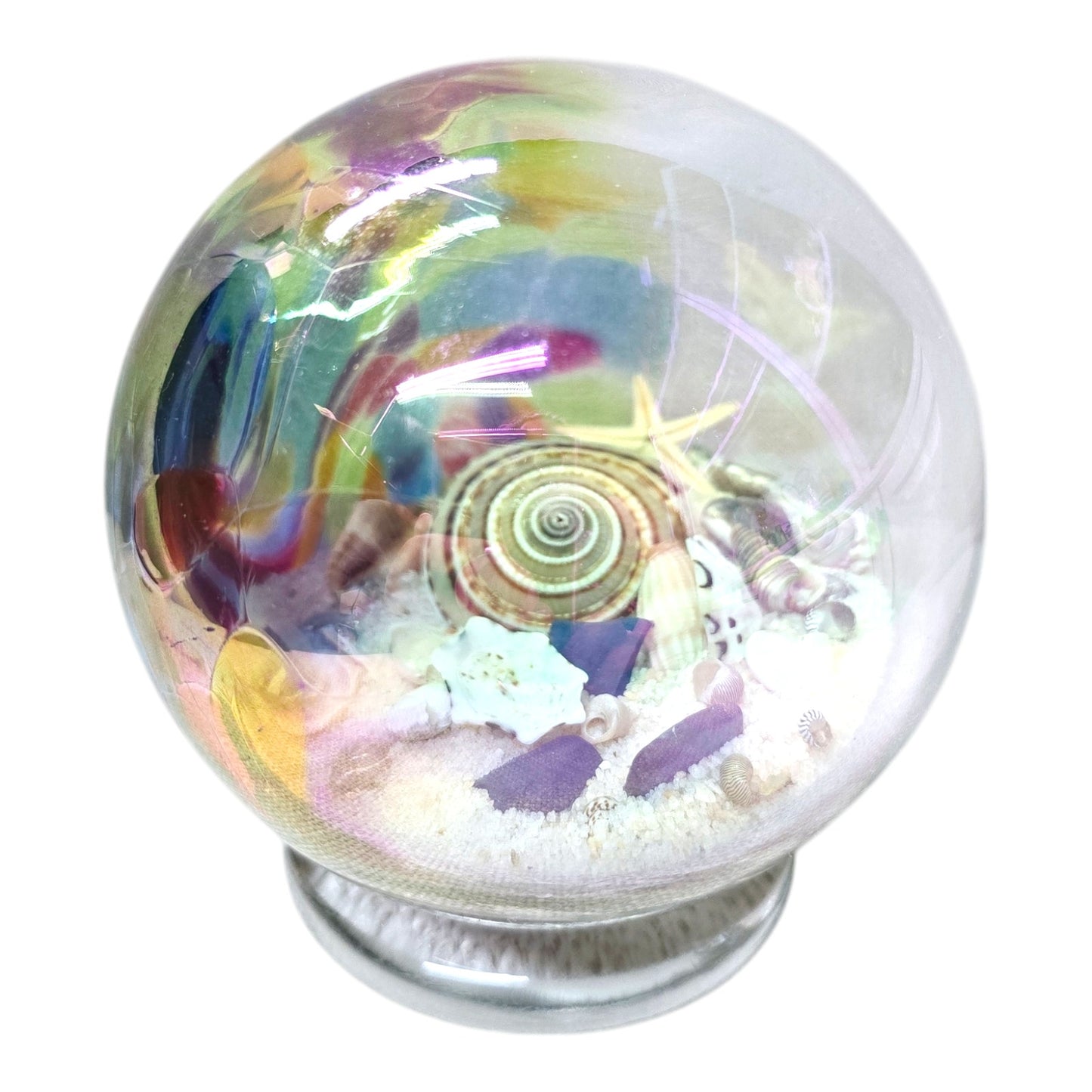 Glass Eye Studios Seashell & Sand Globe Paperweight