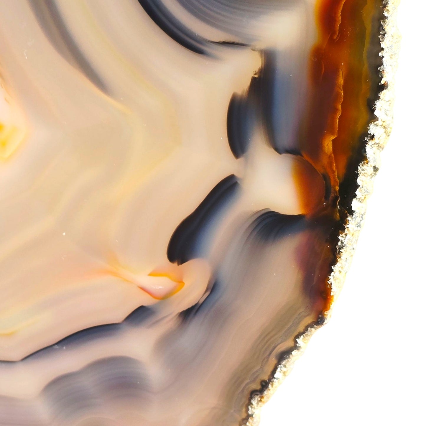 Large Sliced Agate Slab with Small Exposed Druzy Gray Blues