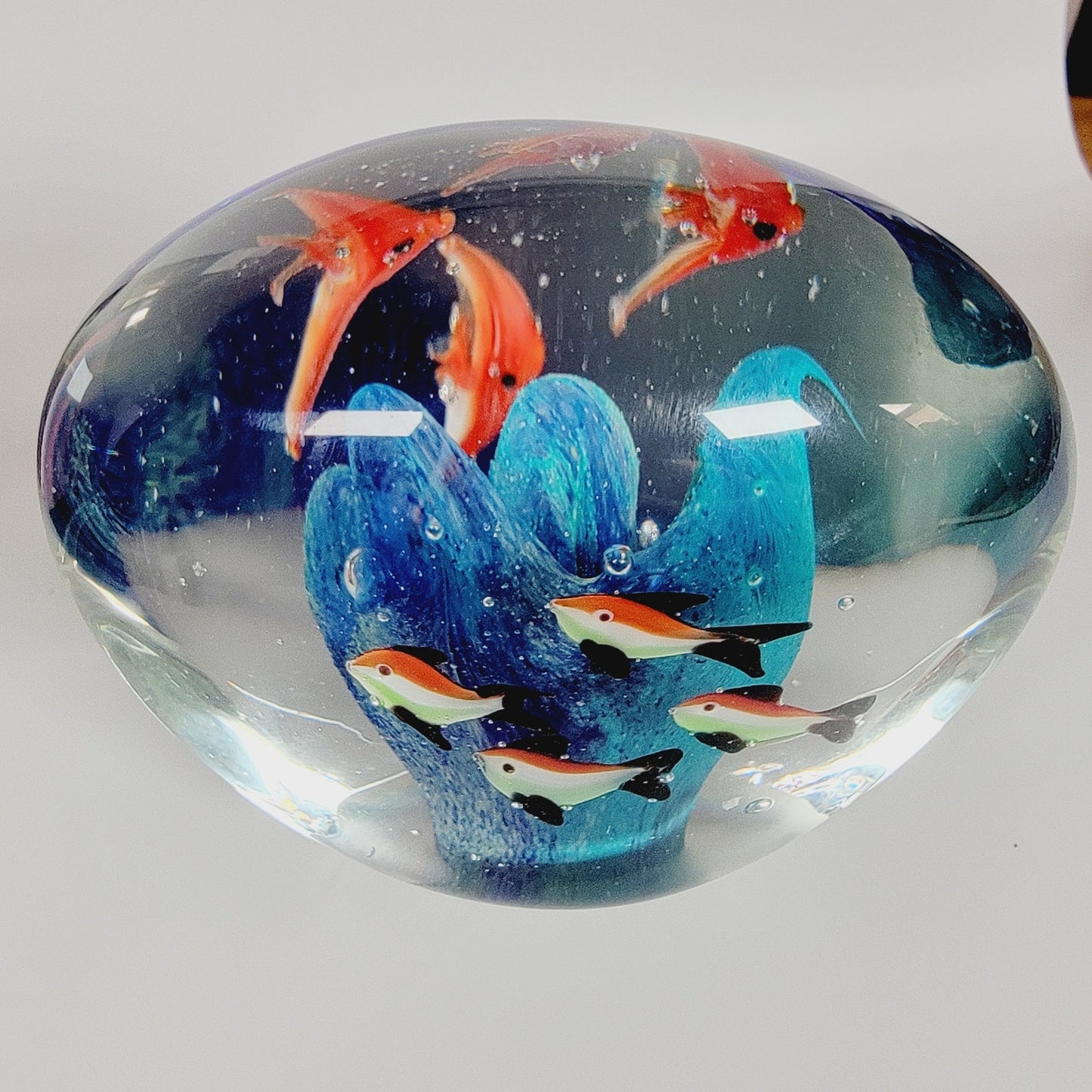 Hand Blown Fish Aquarium Paperweight, Art Glass Fish Aquarium Murano Style Fish