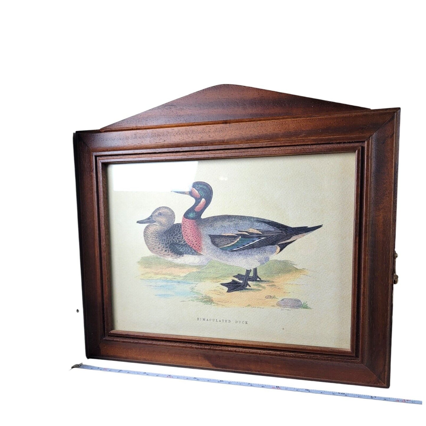 Italian Wood Handcrafted Bimaculated Duck Wall Mount Key Cabinet