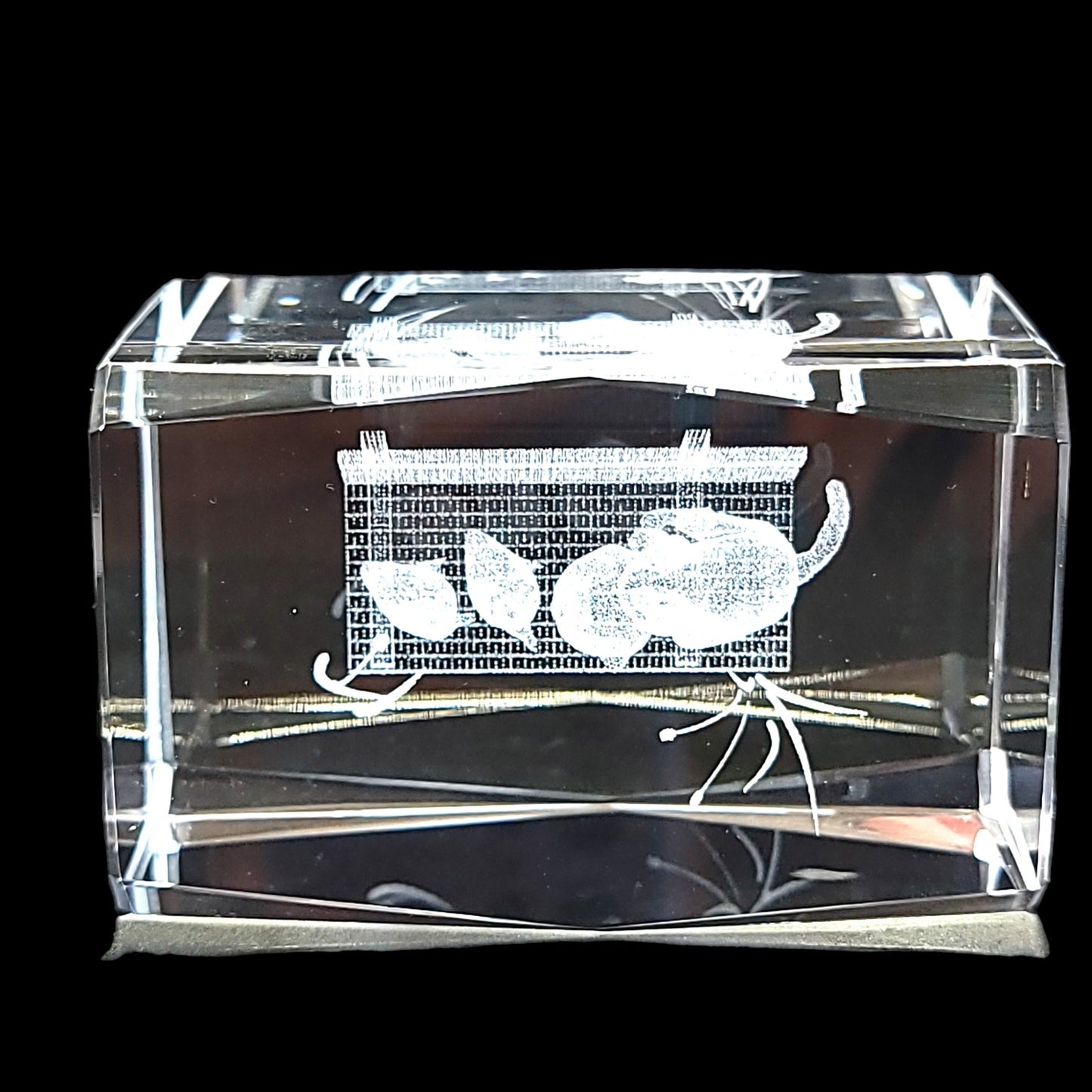 3D Laser Etched Cat on Bench with Ducks Crystal Paperweight in Box 3 x 2 x 2" Original Box