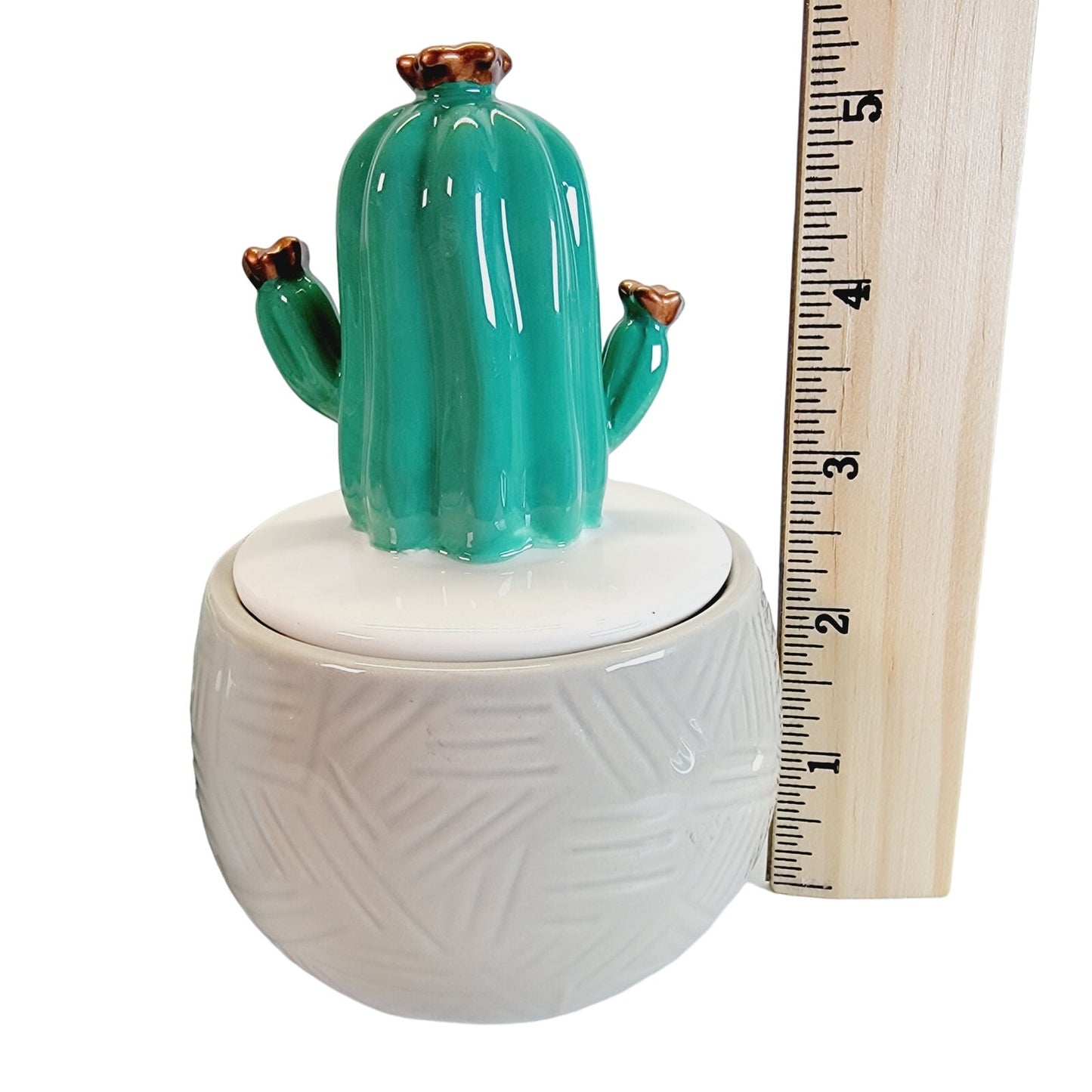 Set of 2 Cactus Trinket Boxes / Storage Box, IQ Accessories