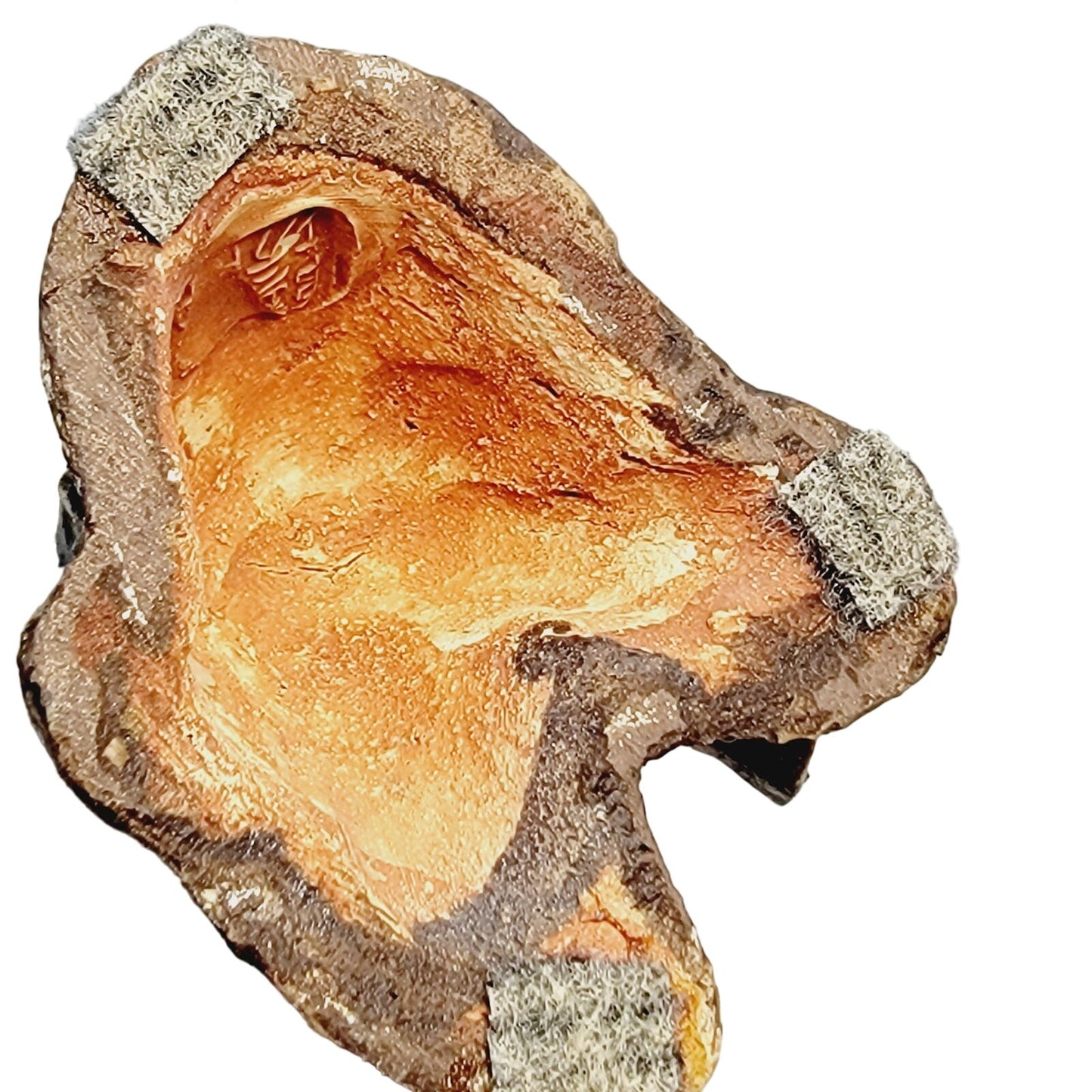 Vtg Signed Asian Rabbit Figurine Playing Long Horn Pottery Seal Mark MCM 8.5"