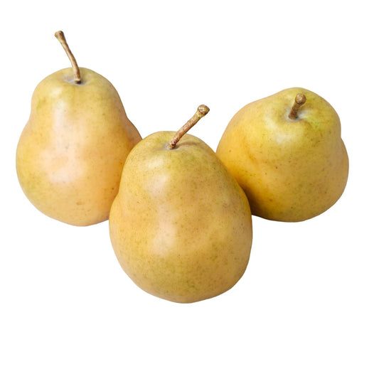 Set of 3 Bosc Heavy Realistic Faux Staging Pears