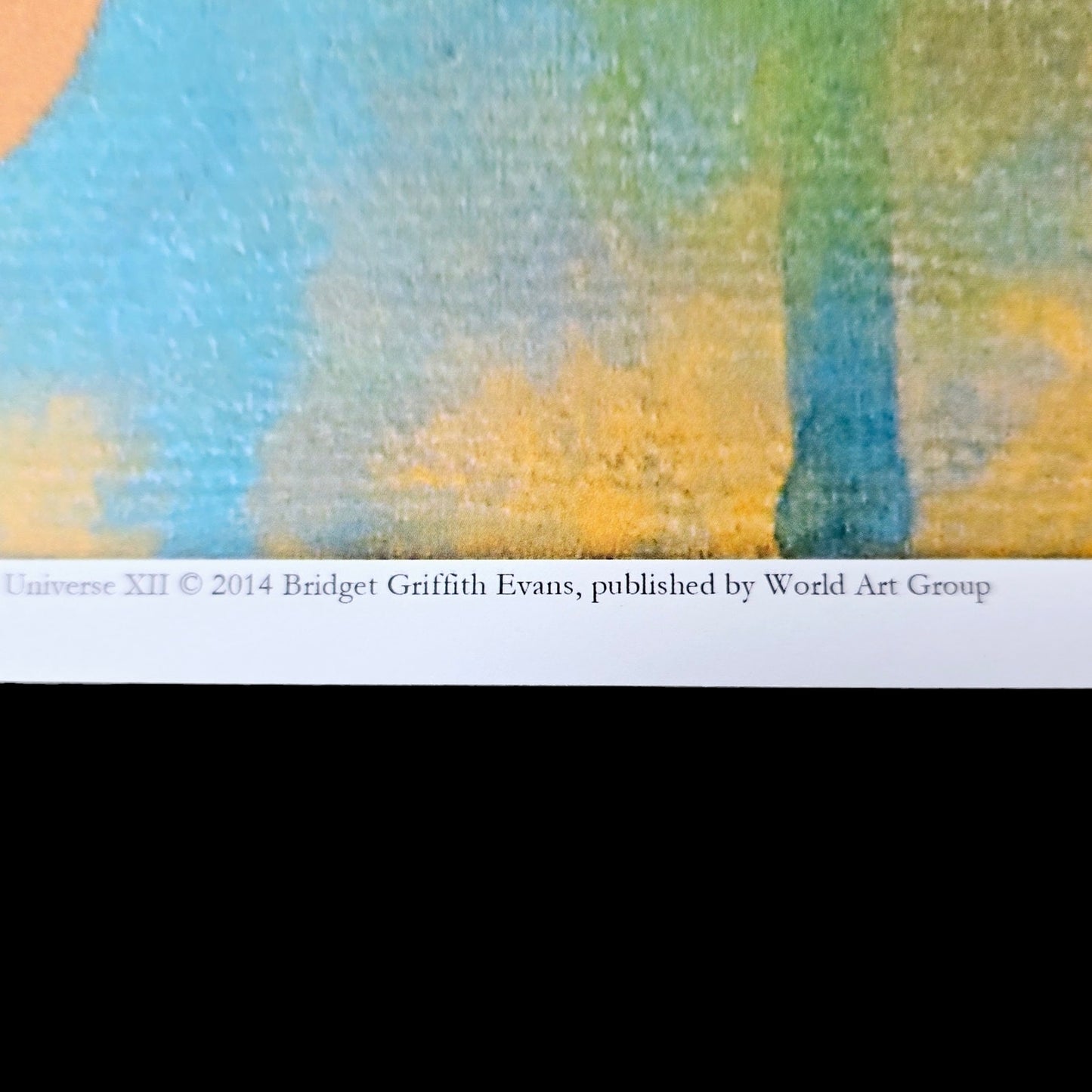 18 x12 Bird Art Print Mysteries of the Universe XII 2014 Bridget Griffith Evans