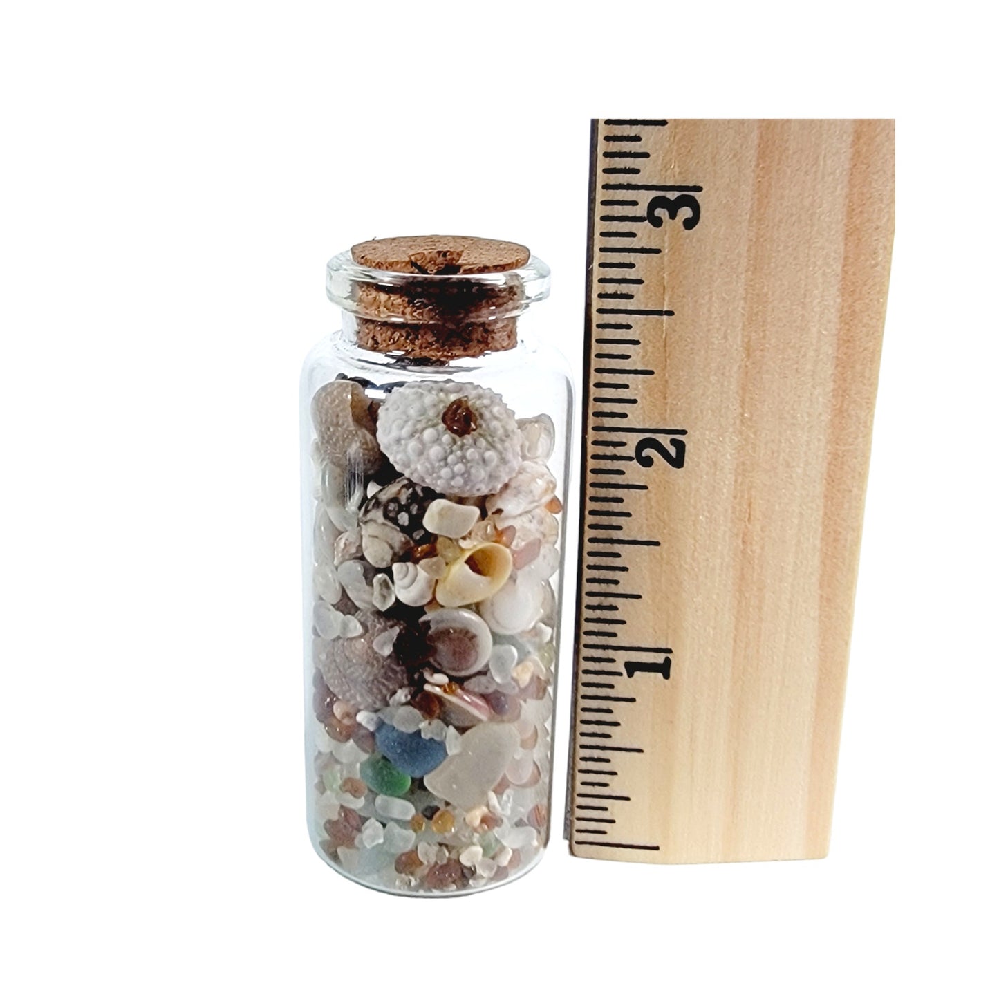 Tiny Shells and Sea Glass in Tiny Jar, Made in California