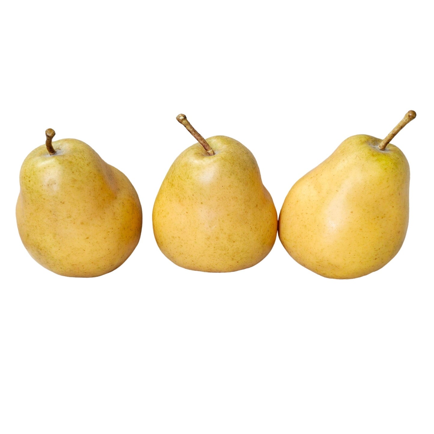 Set of 3 Bosc Heavy Realistic Faux Staging Pears