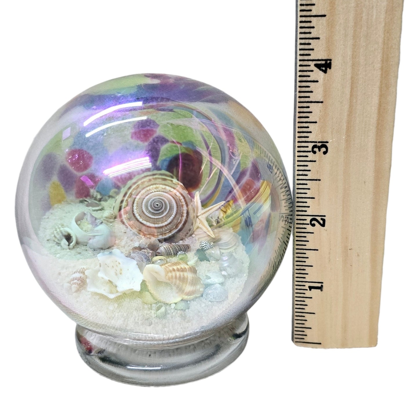 Glass Eye Studios Seashell & Sand Globe Paperweight