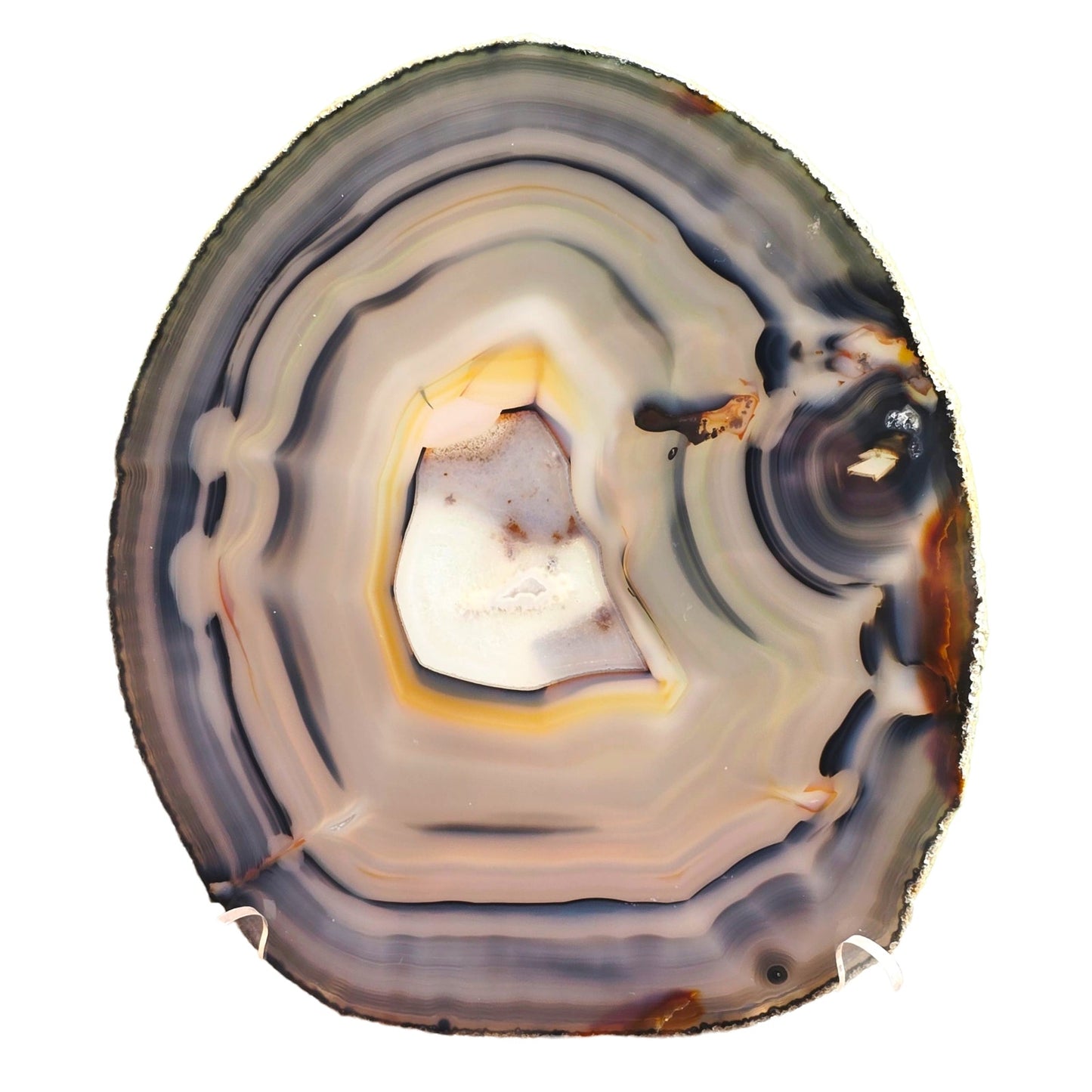 Large Sliced Agate Slab with Small Exposed Druzy Gray Blues