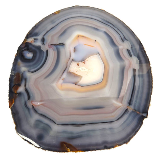 Large Sliced Agate Slab with Small Exposed Druzy Gray Blues