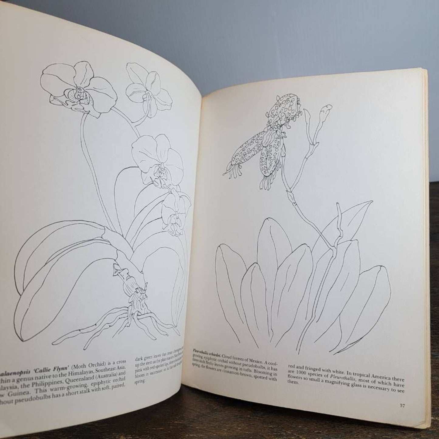 Vintage Dover Coloring Book Orchids of The World Virginie Fowler Elbert