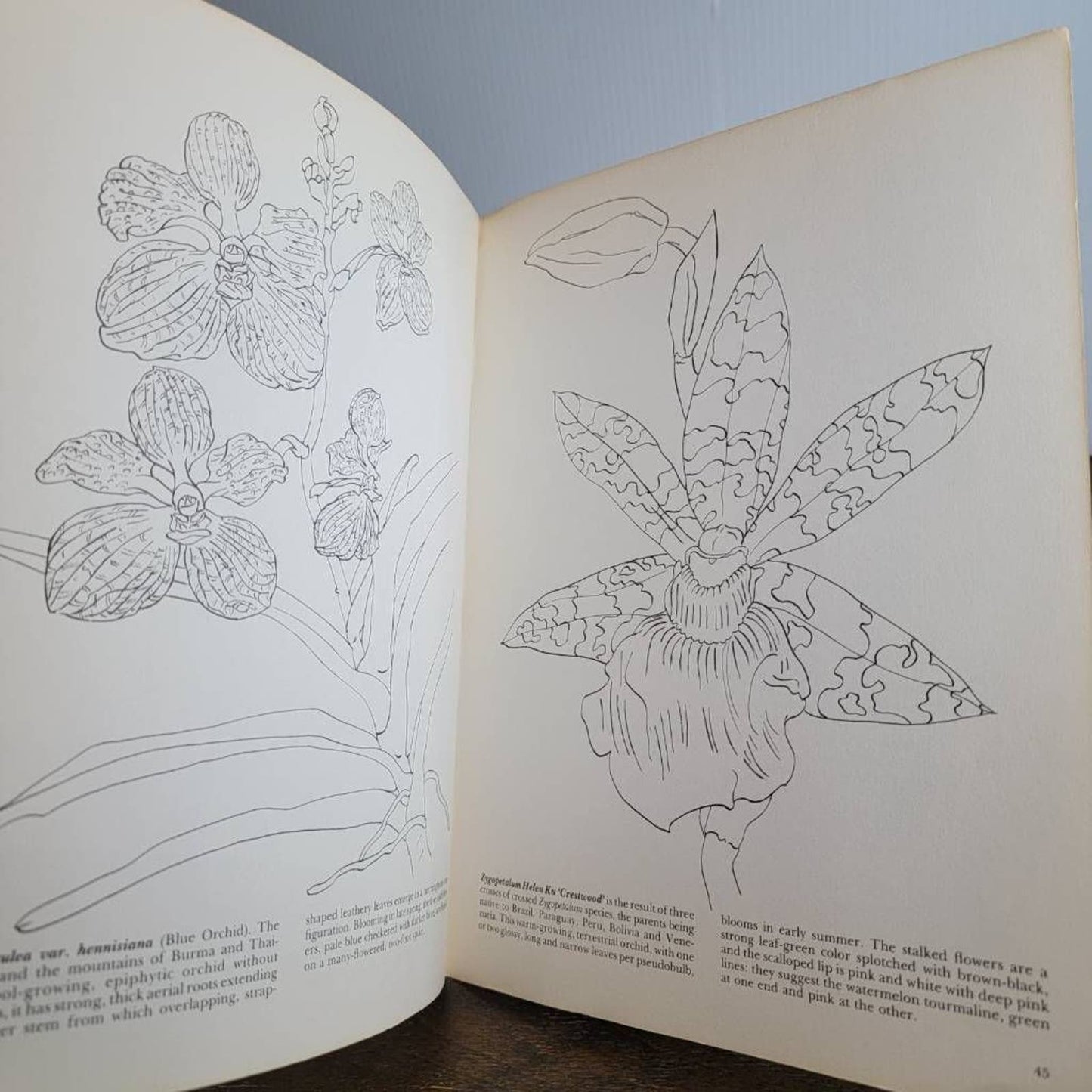 Vintage Dover Coloring Book Orchids of The World Virginie Fowler Elbert