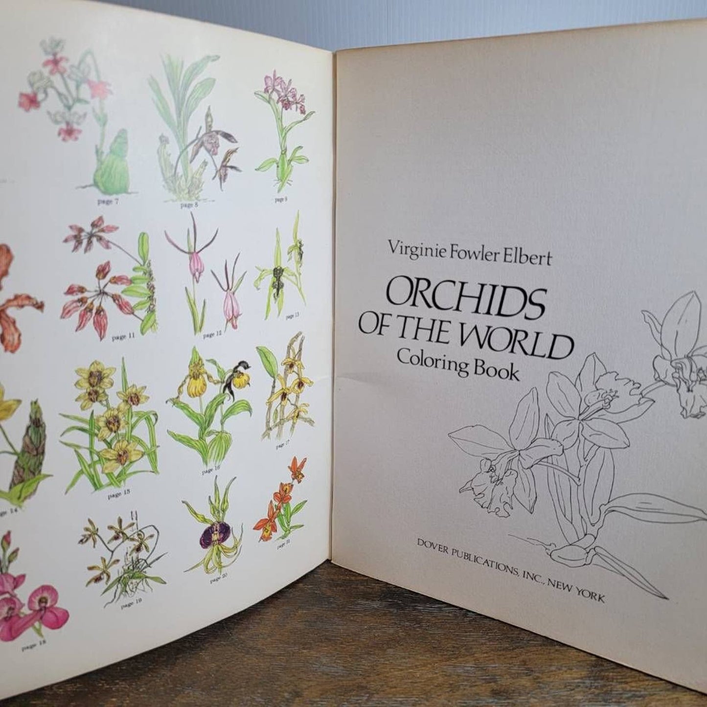 Vintage Dover Coloring Book Orchids of The World Virginie Fowler Elbert